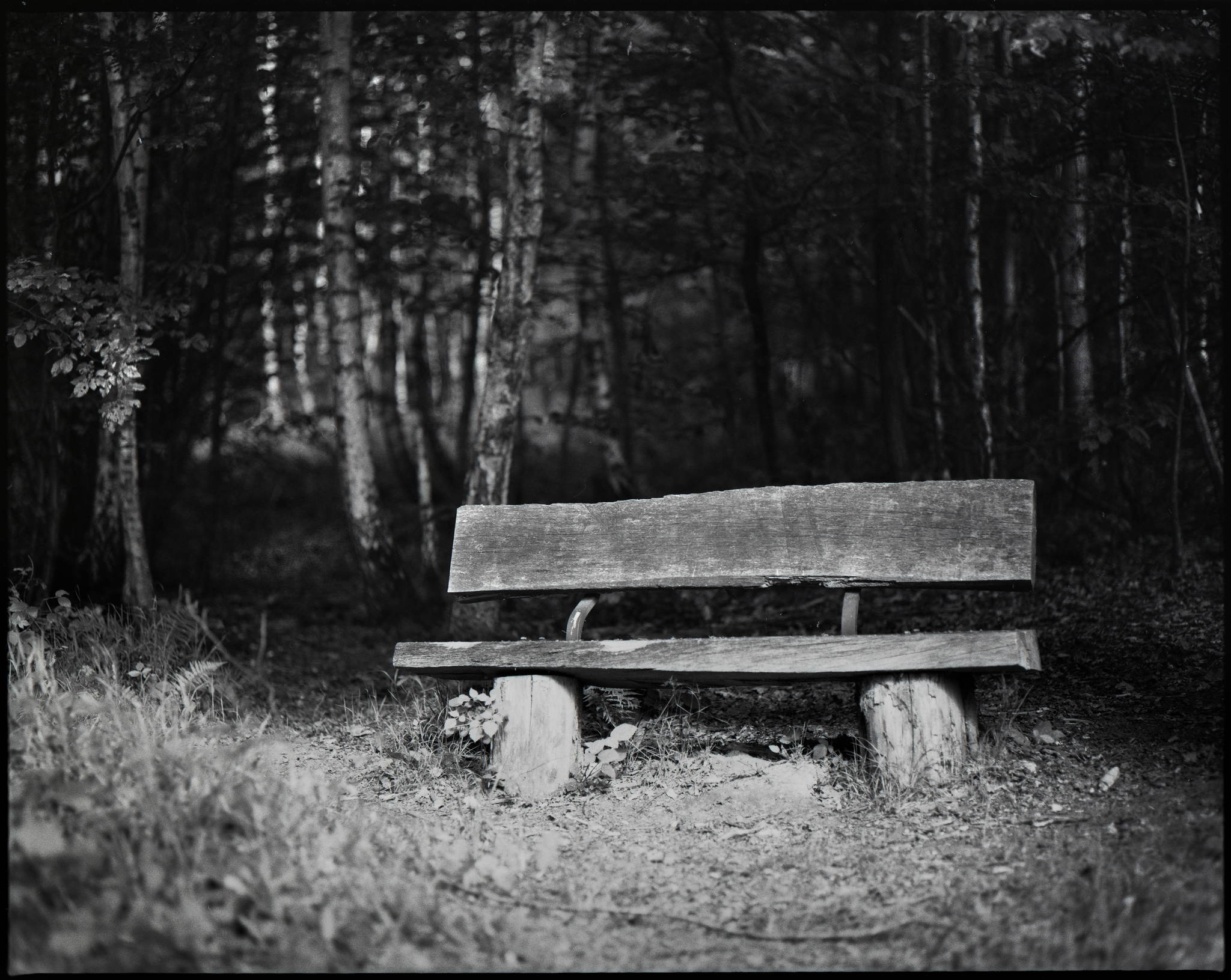 2017 05 23 pentax 6x7 03 34040425773 o