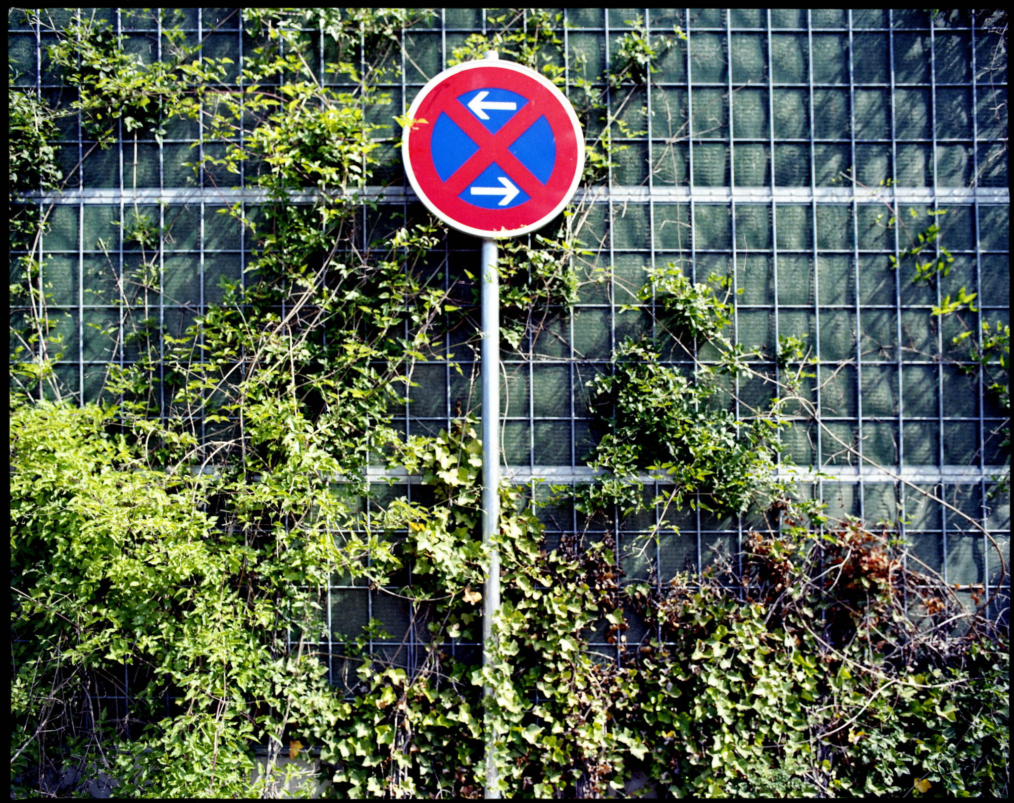 2017 05 28 pentax 6x7 05 34171500134 o