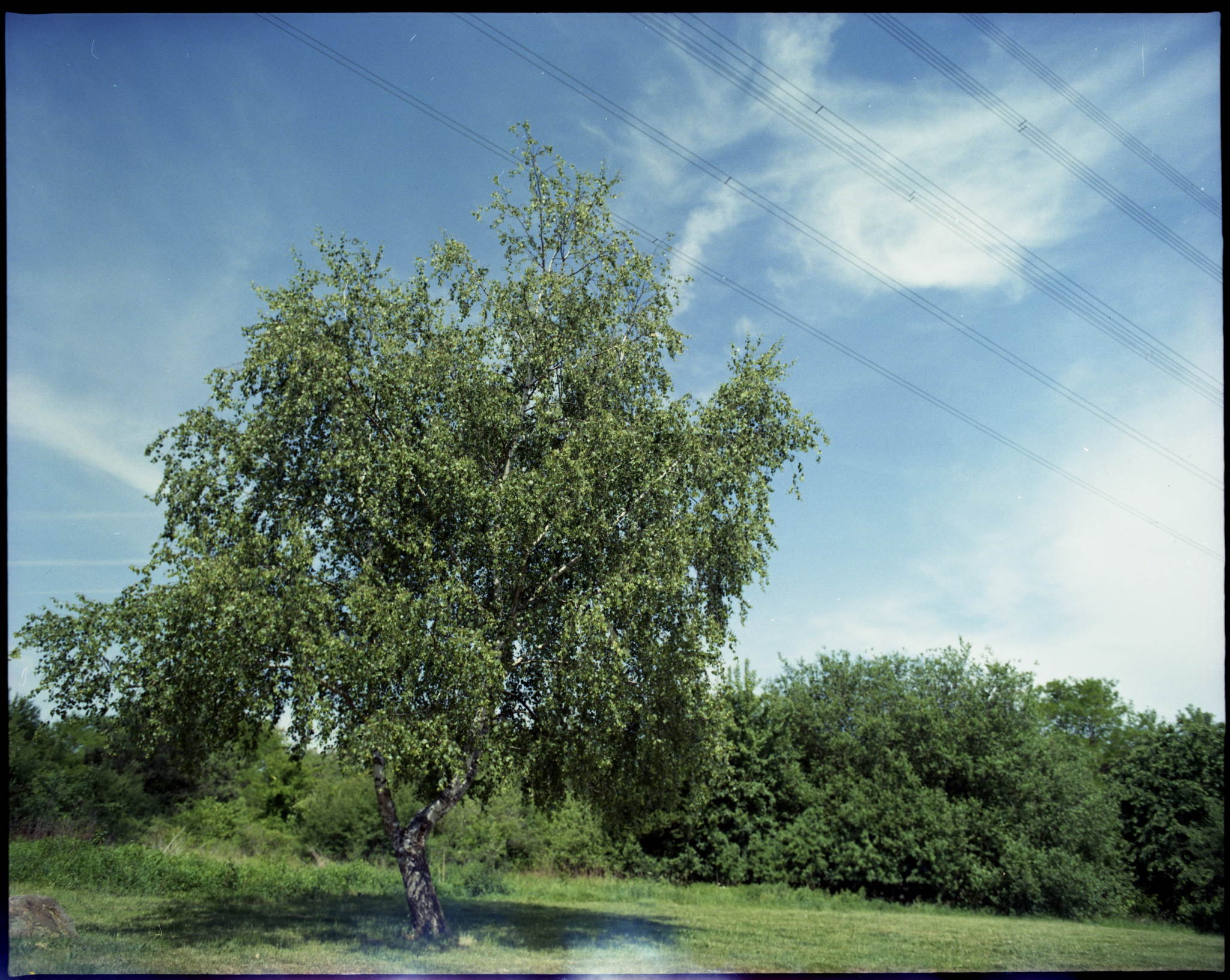 2017 05 28 pentax 6x7 07 34171506884 o