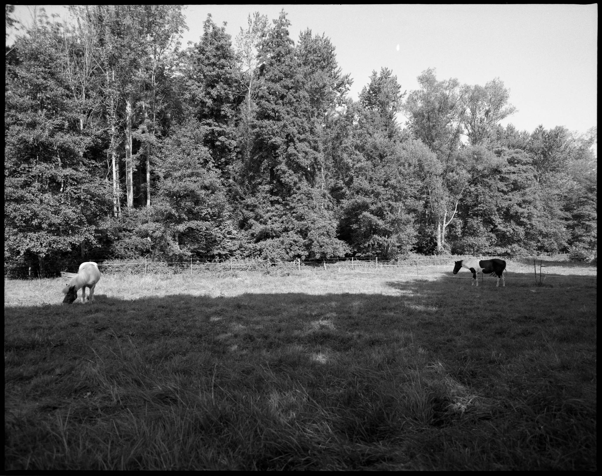 2017 07 30 609 36806338821 o