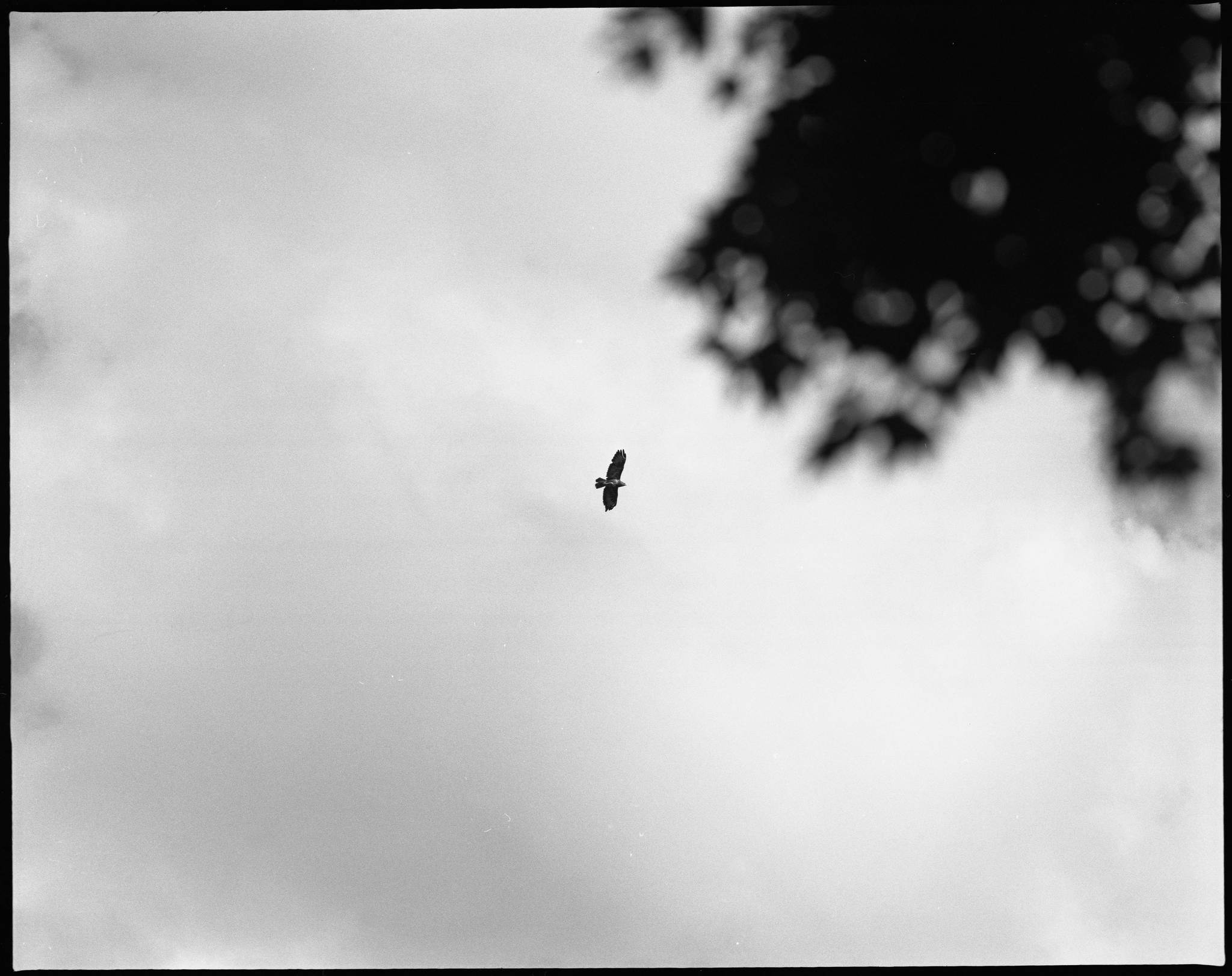 2017 07 30 614 36549877600 o