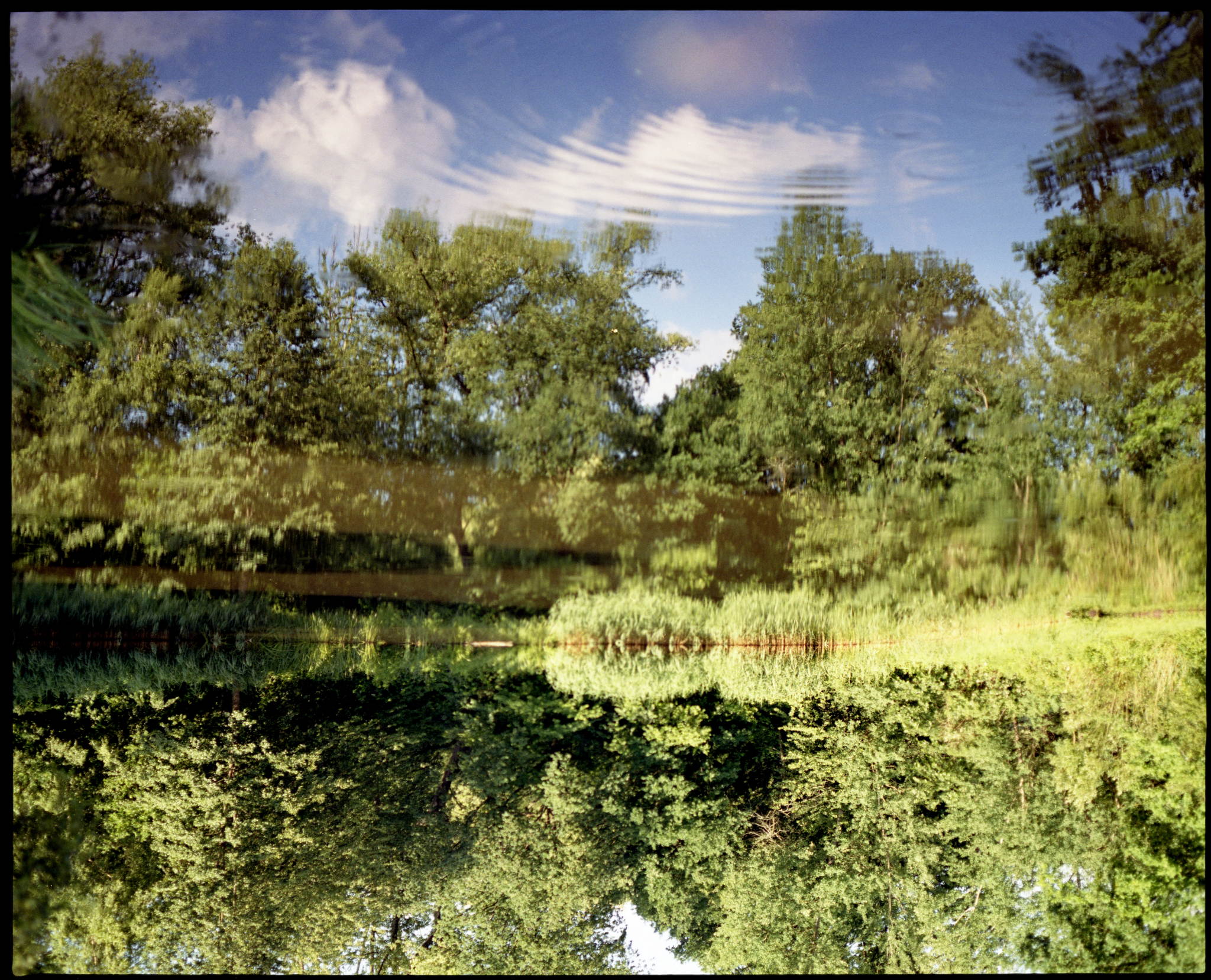 Berschall 35183399736 o