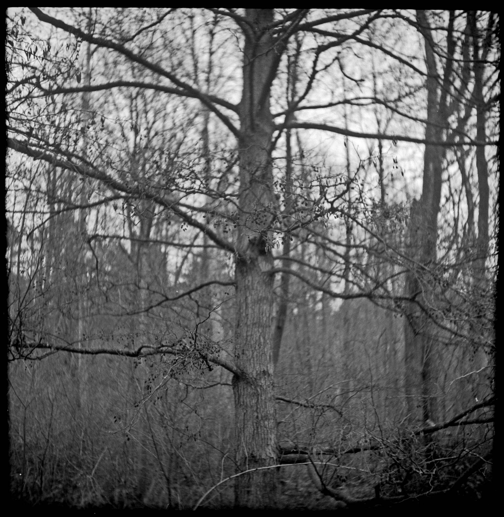 Pilot super 2020 01 07 02 49346746043 o