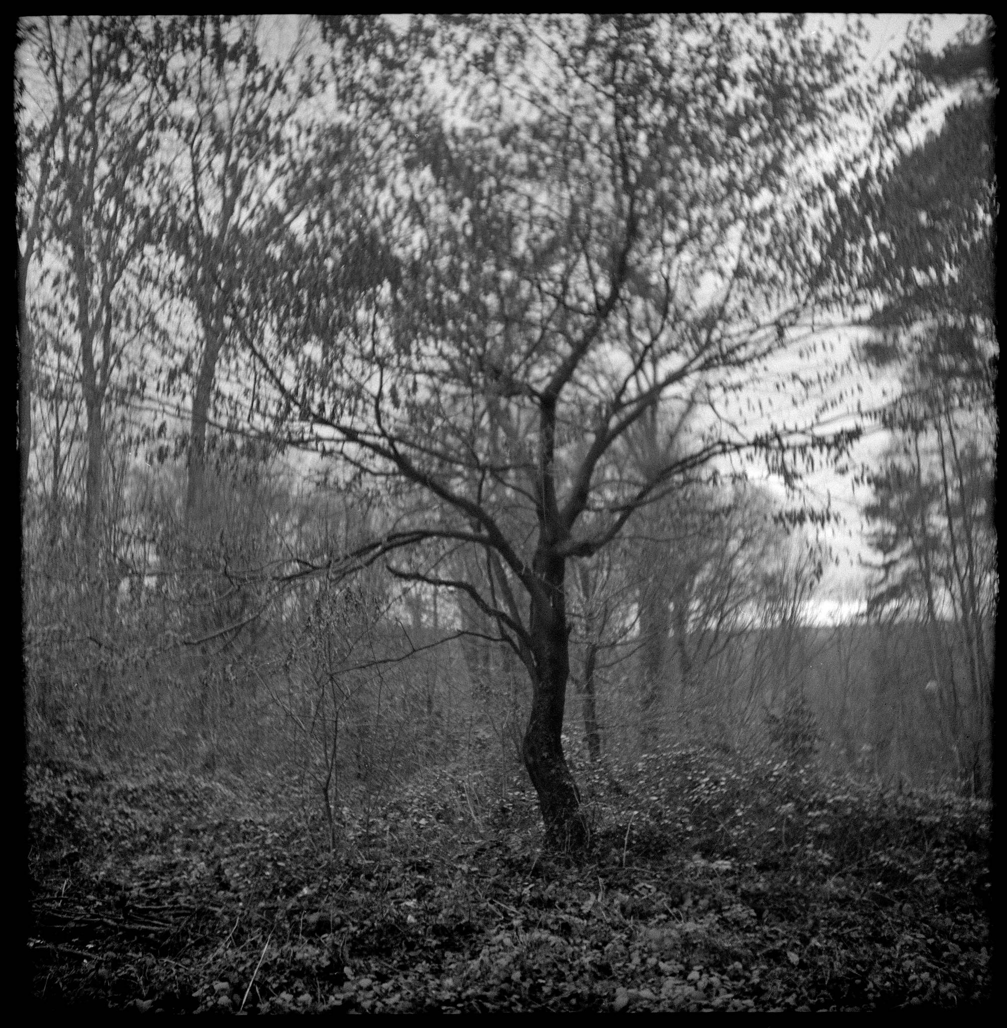 Pilot super 2020 01 07 03 49347209646 o