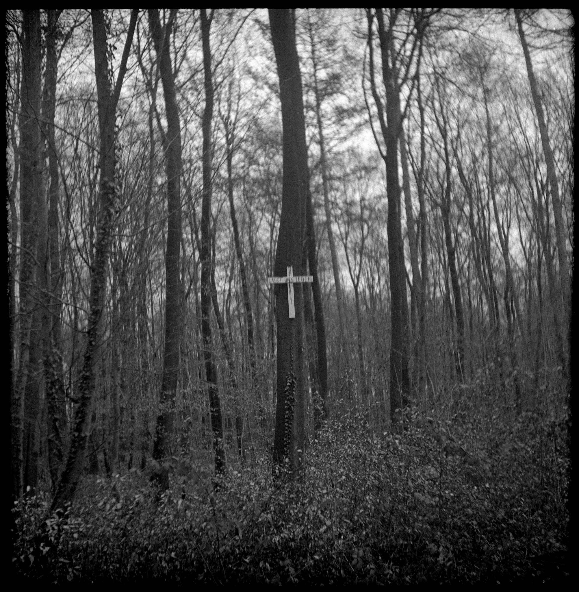 Pilot super 2020 01 07 04 49346747218 o