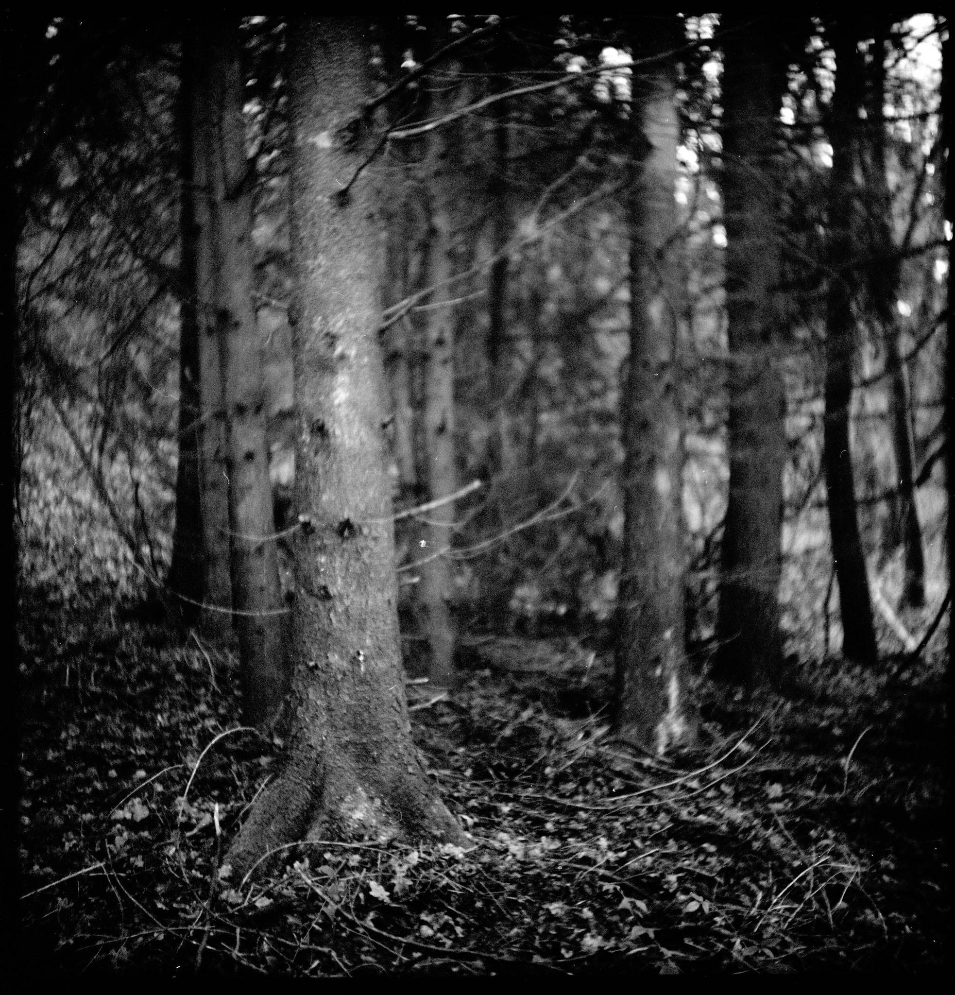 Pilot super 2020 01 07 05 49347210786 o