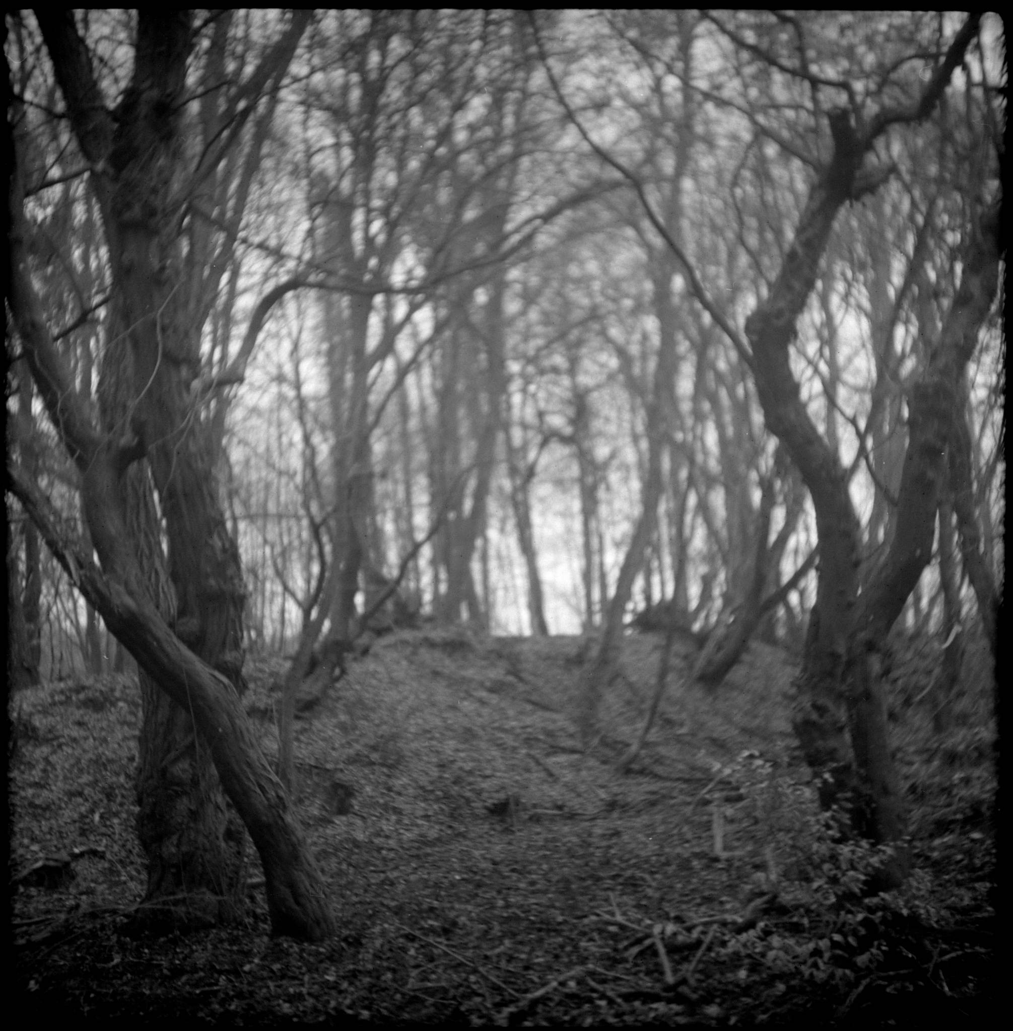 Pilot super 2020 01 07 06 49347420772 o