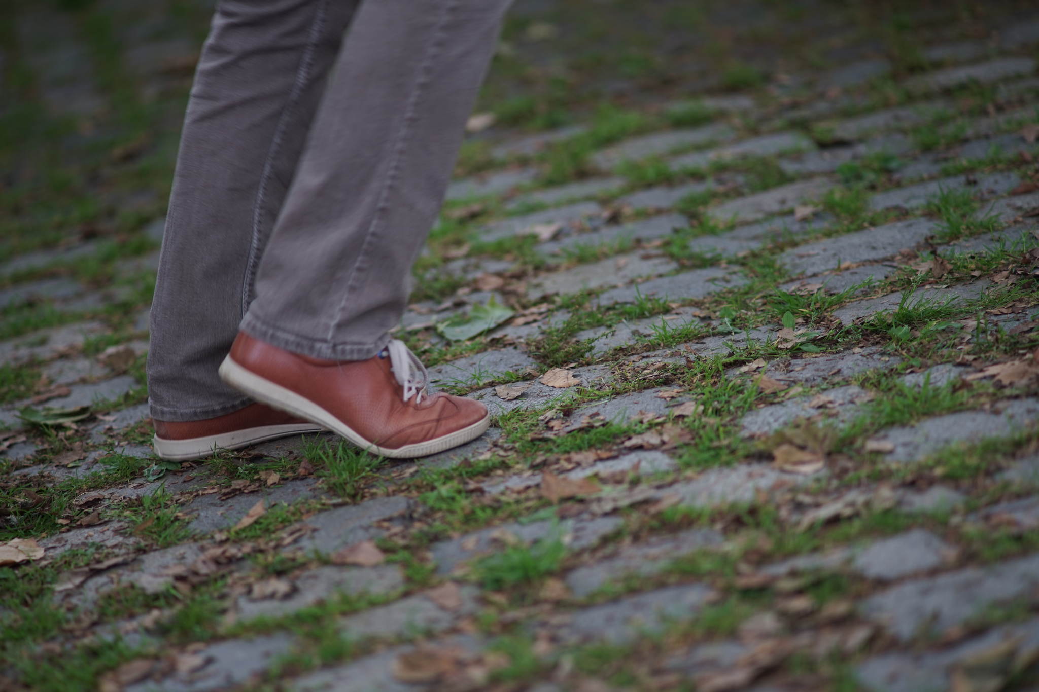 Dsc00478 28443984331 o