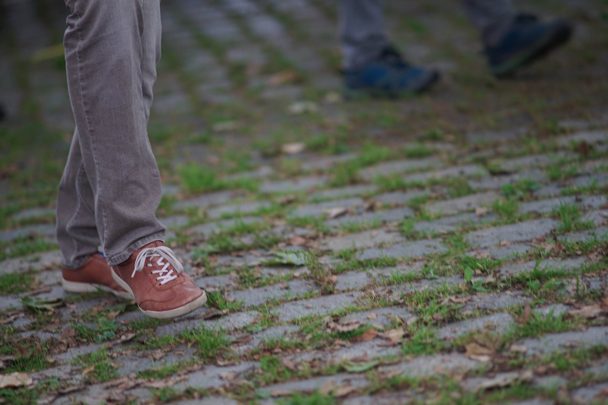 Dsc00488 28443986511 o