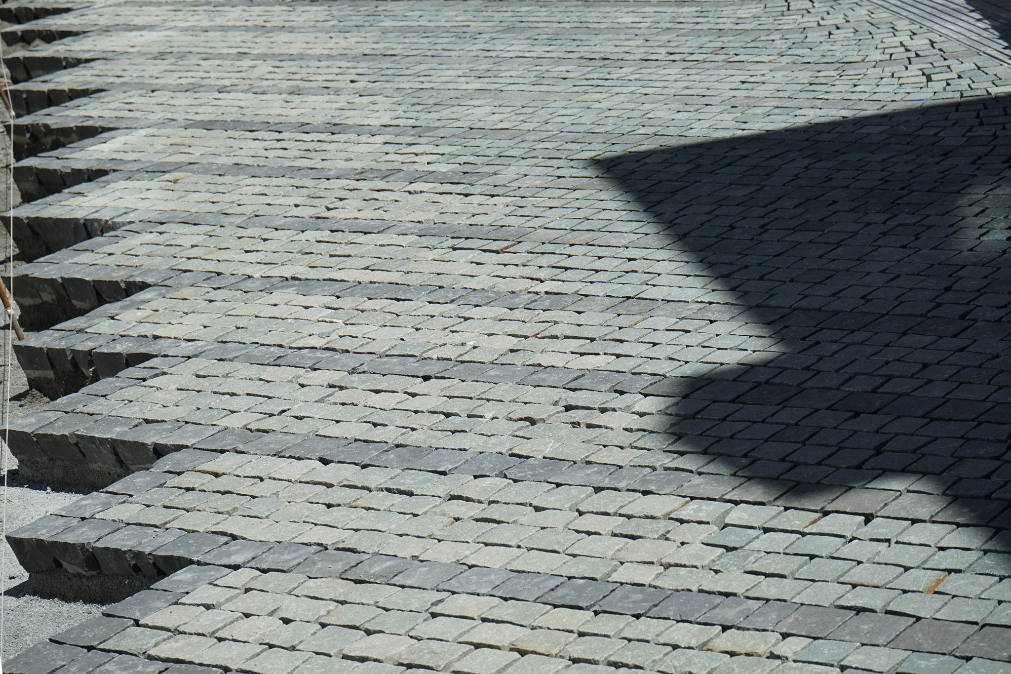 Dsc09713 33736691184 o