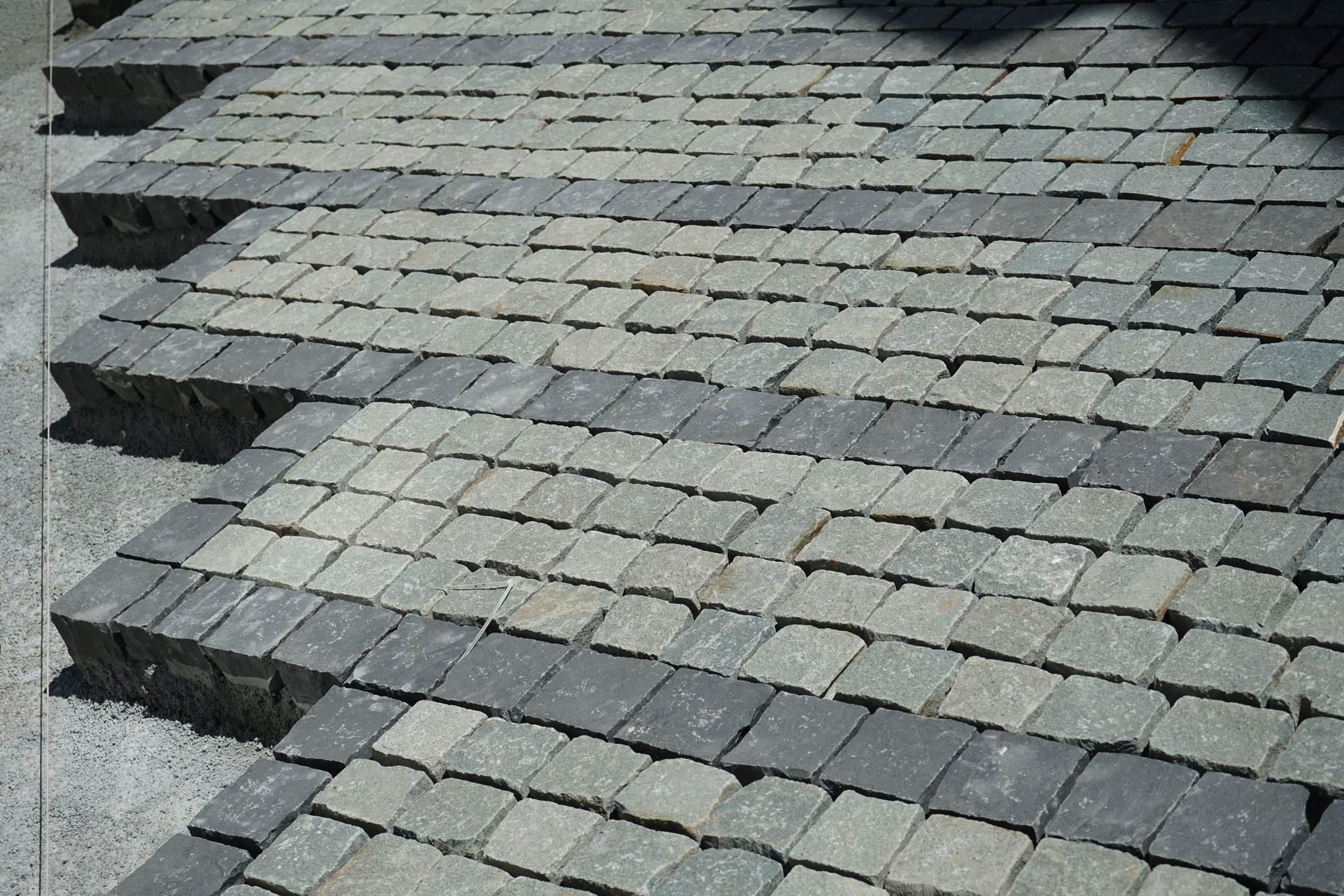 Dsc09716 33769482063 o