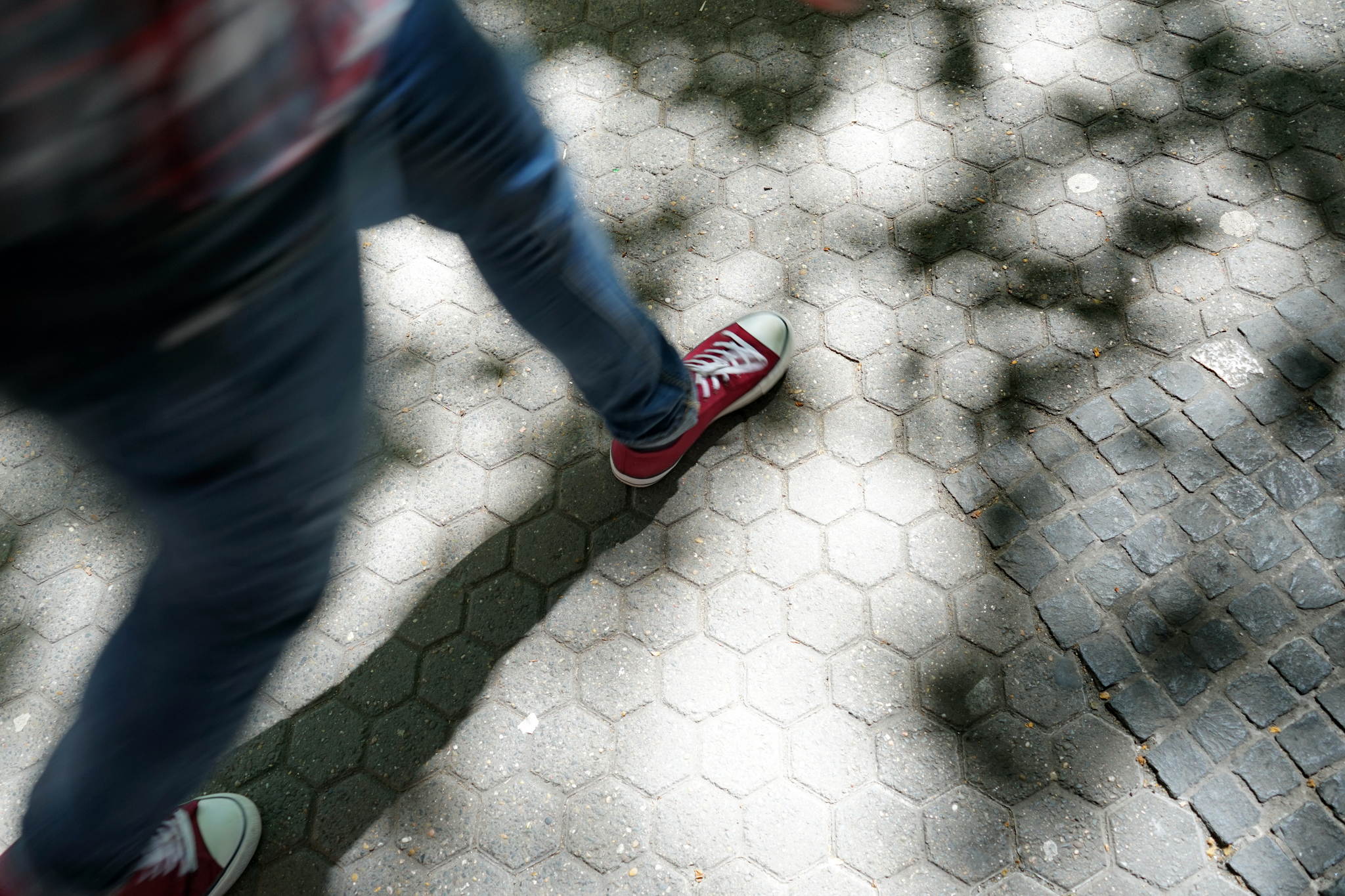 Dsc09730 33769498483 o