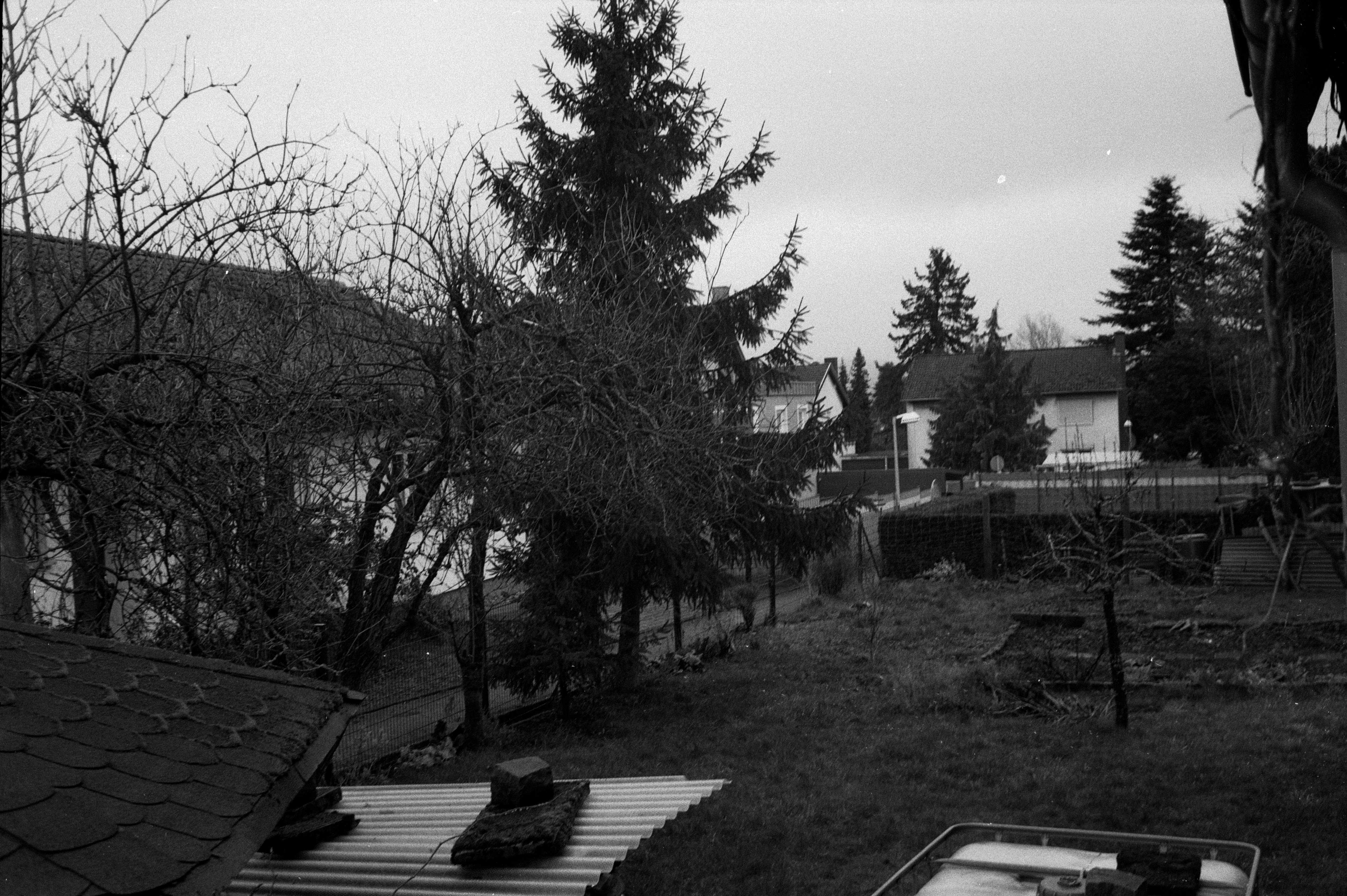 Minox 35 MB 2026 02 24 01