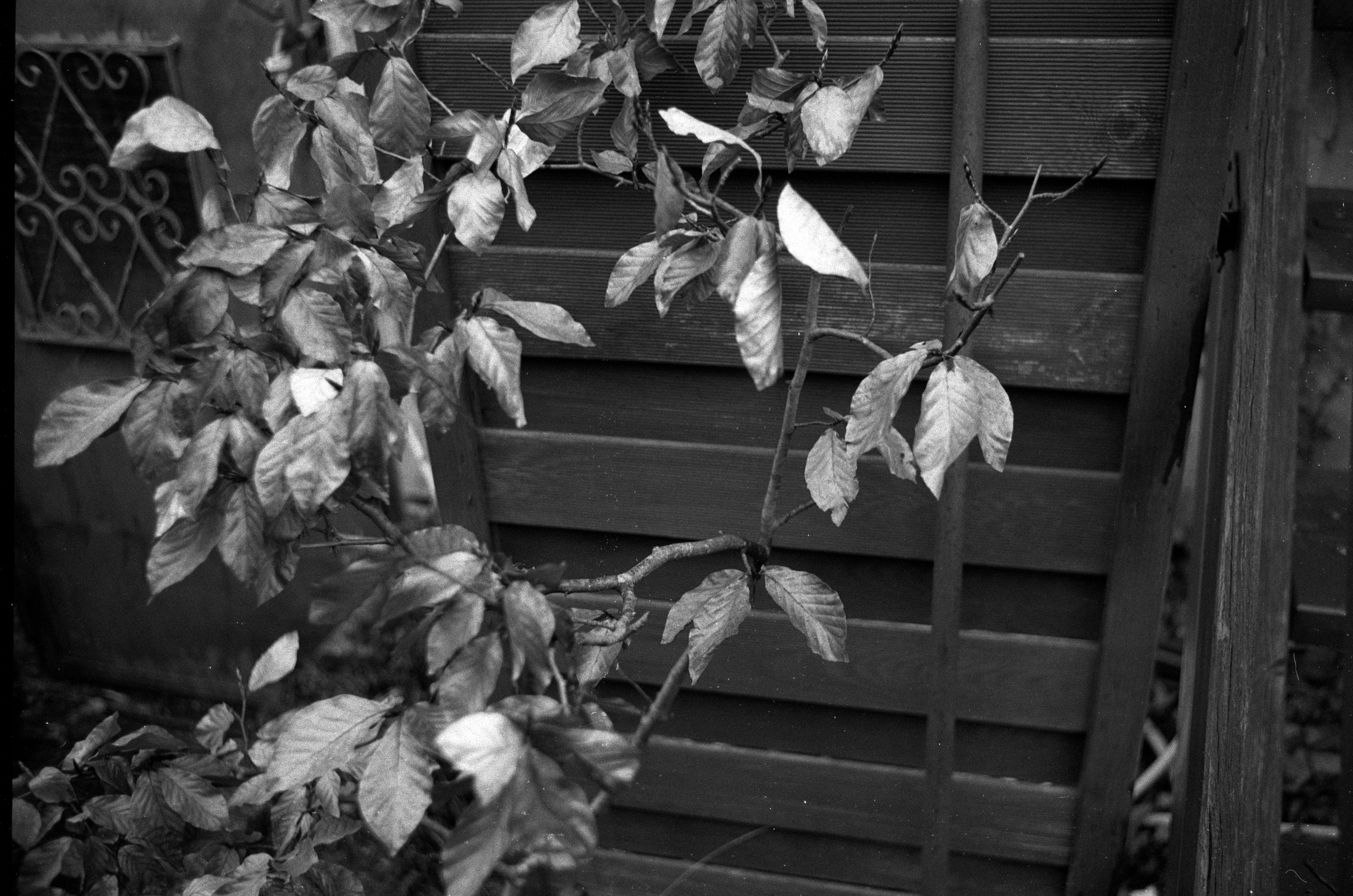 Minox 35 MB 2026 02 24 02