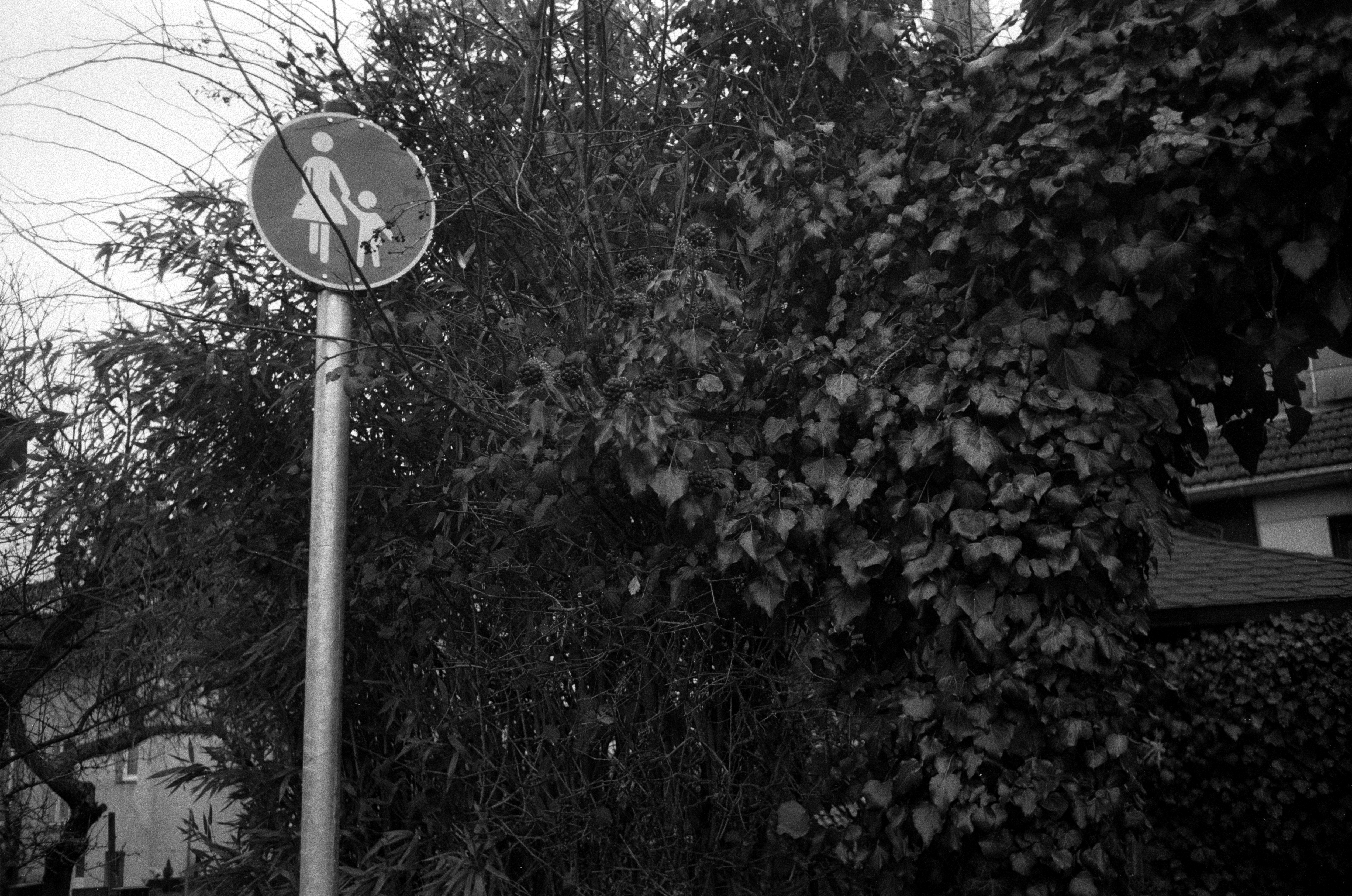 Minox 35 MB 2026 02 24 14