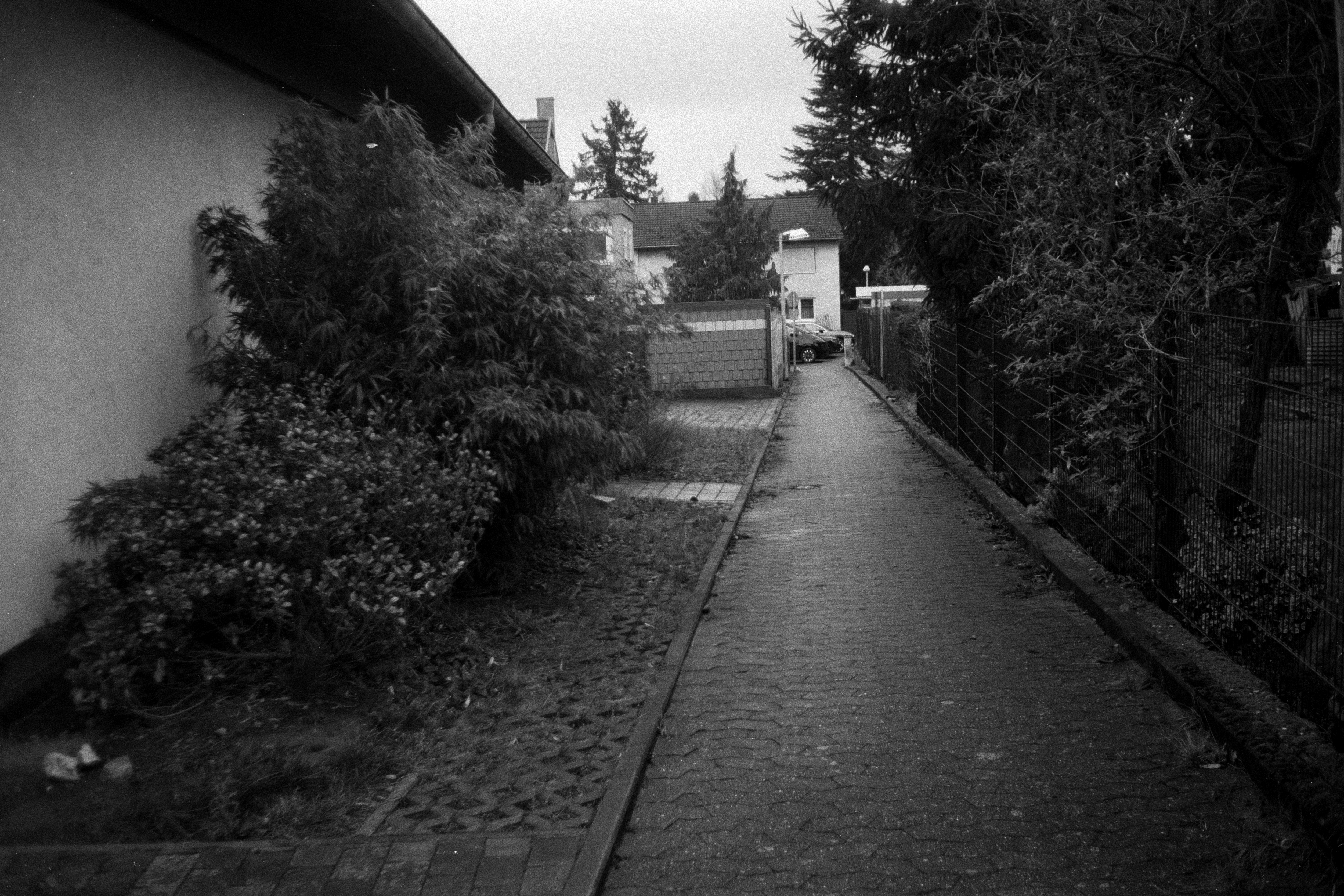 Minox 35 MB 2026 02 24 15