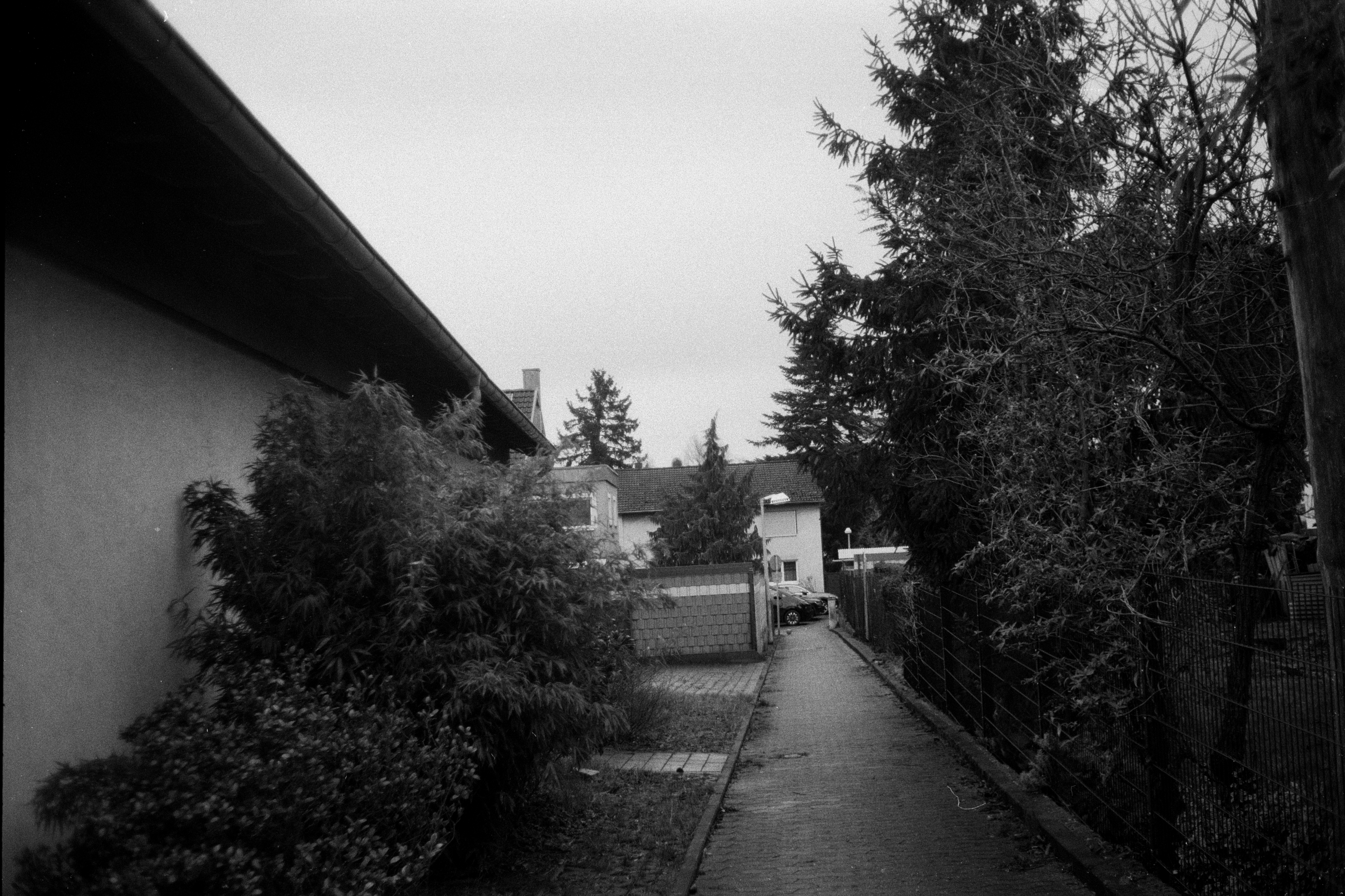 Minox 35 MB 2026 02 24 16