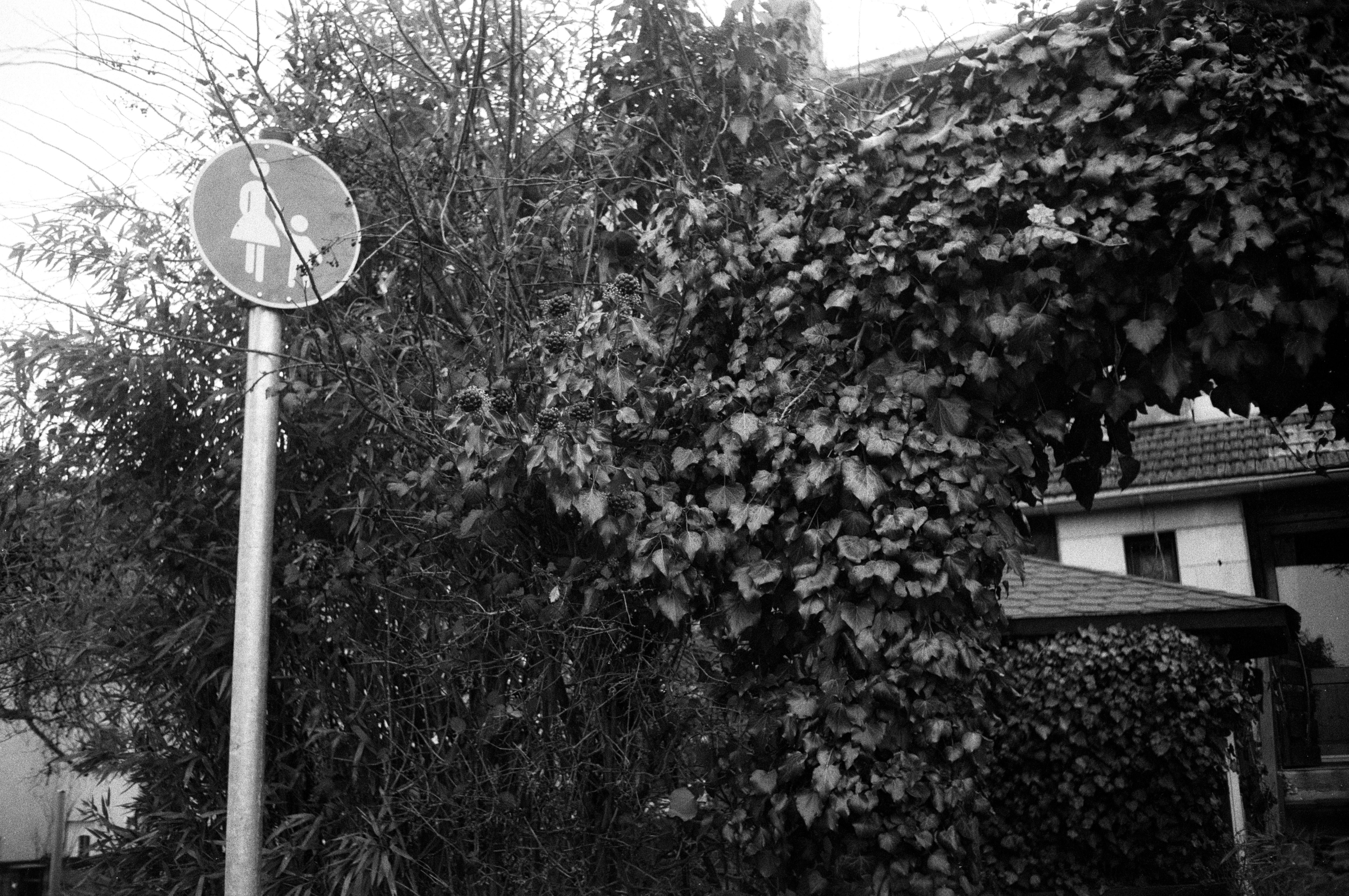 Ricoh ff1 2026 02 24 08