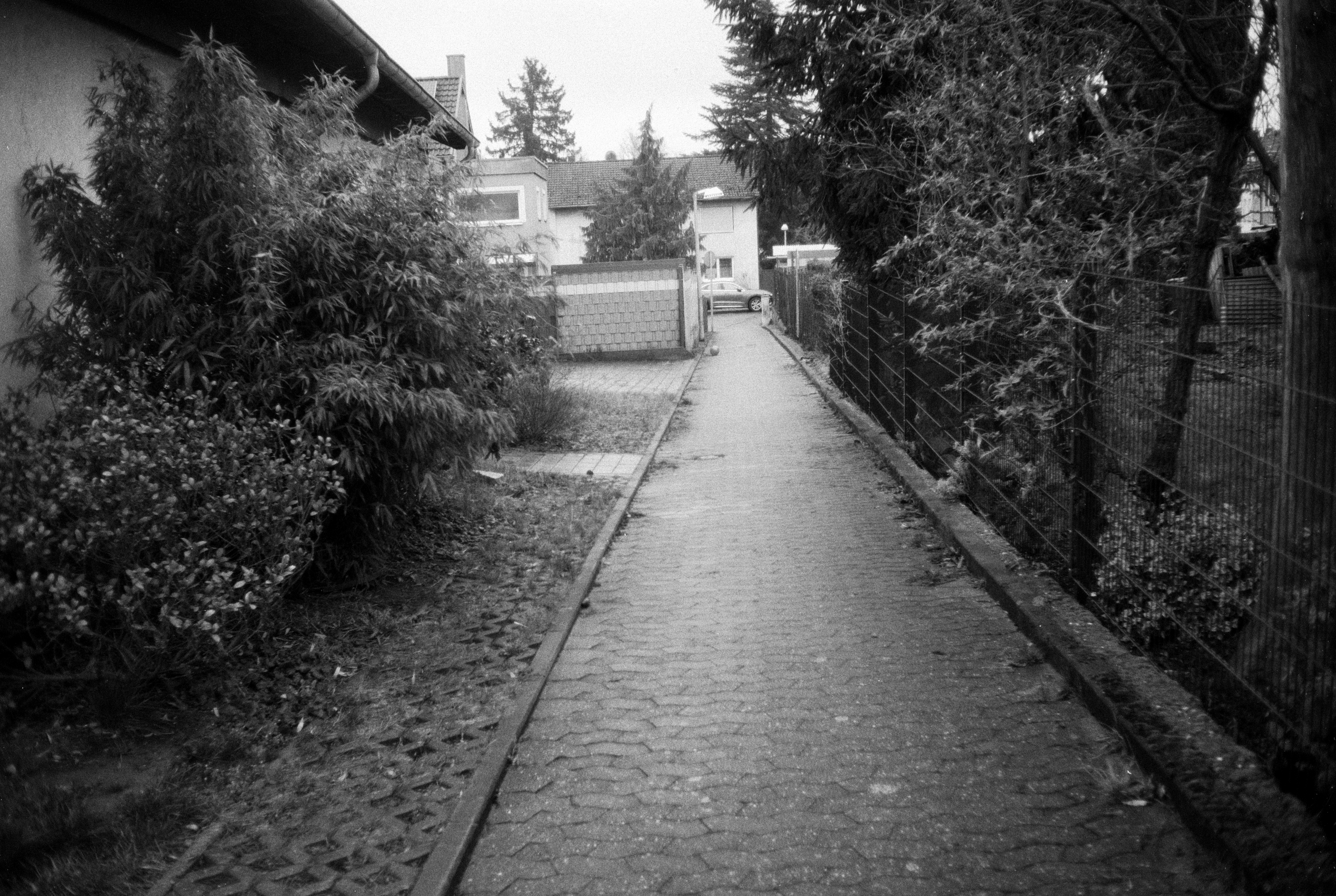 Ricoh ff1 2026 02 24 15