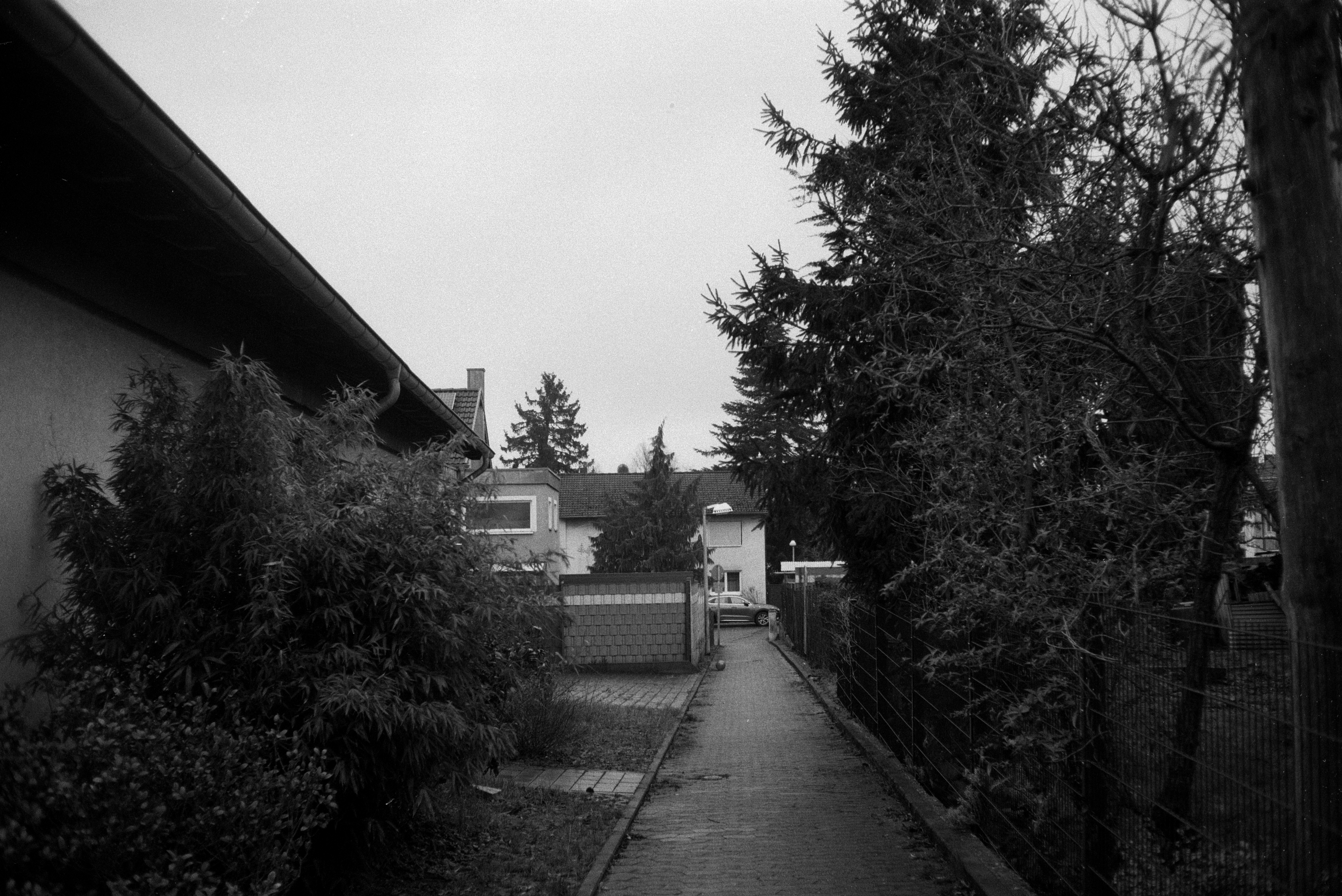 Ricoh ff1 2026 02 24 16