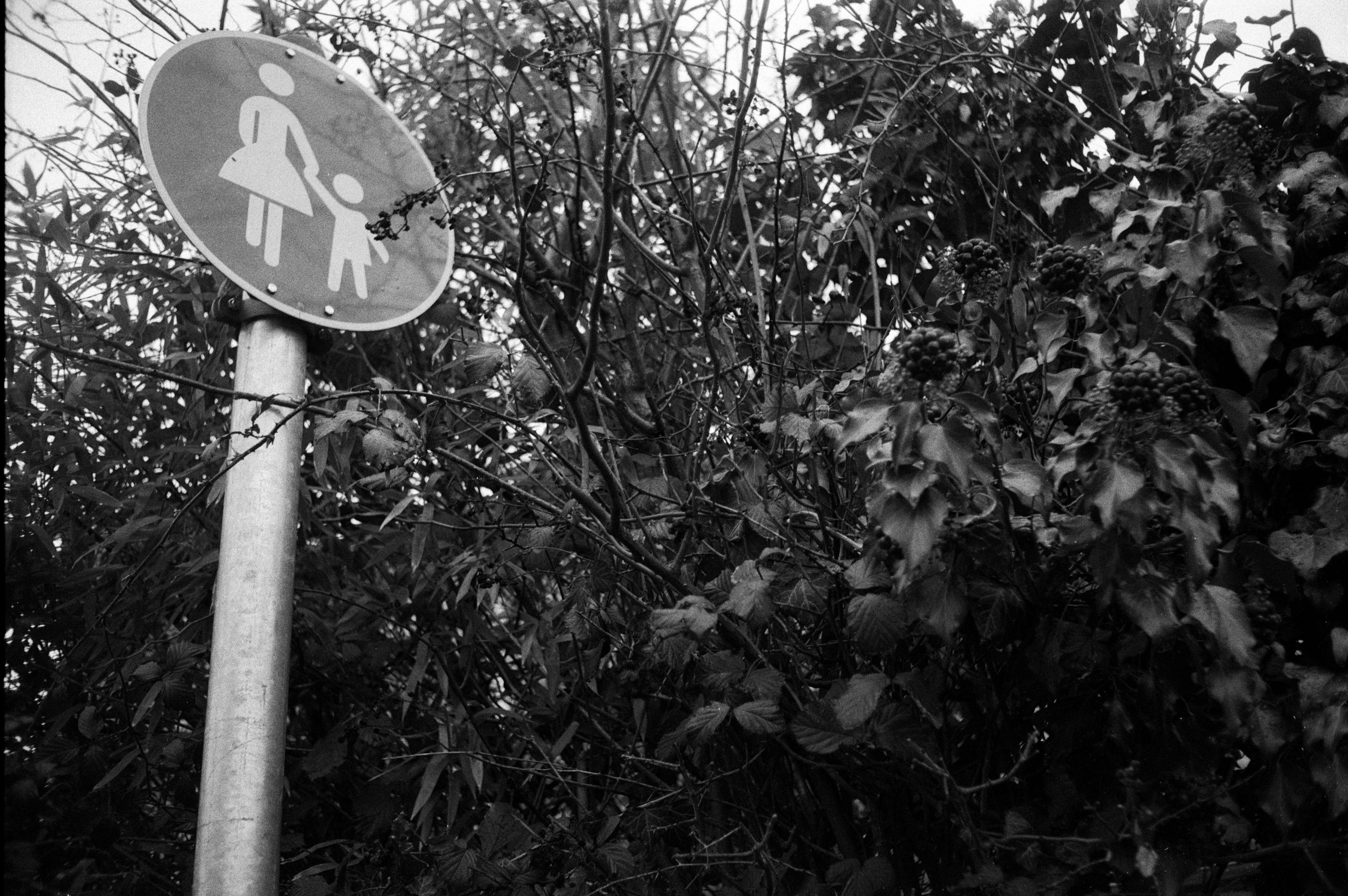 Ricoh ff1 2026 02 24 18