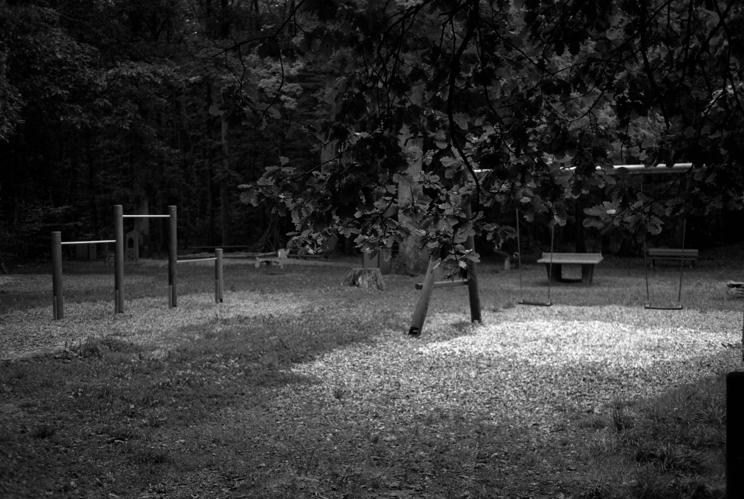 2025 09 17 21 30 0004