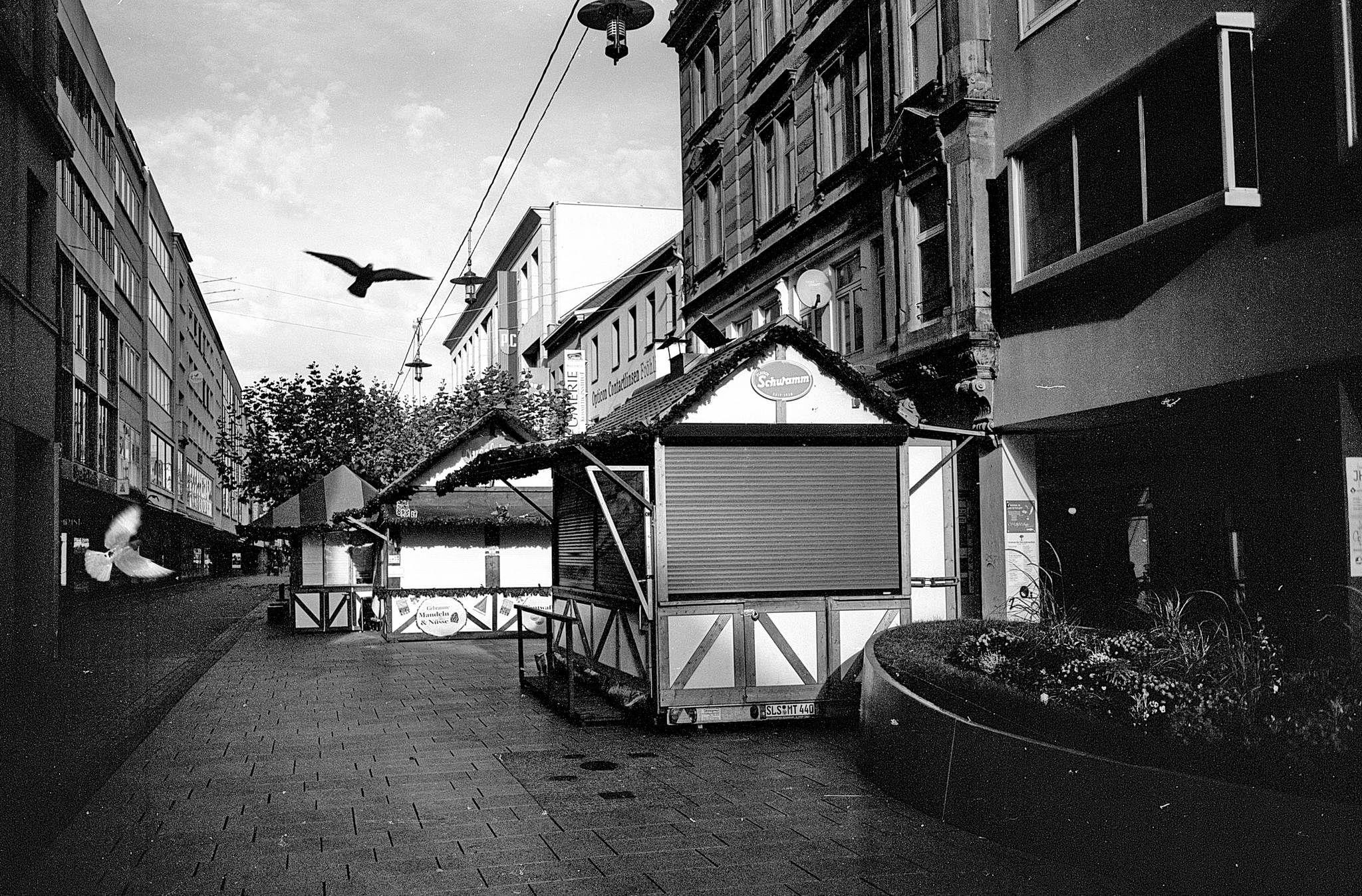 2024 11 24 14 54162186085 o