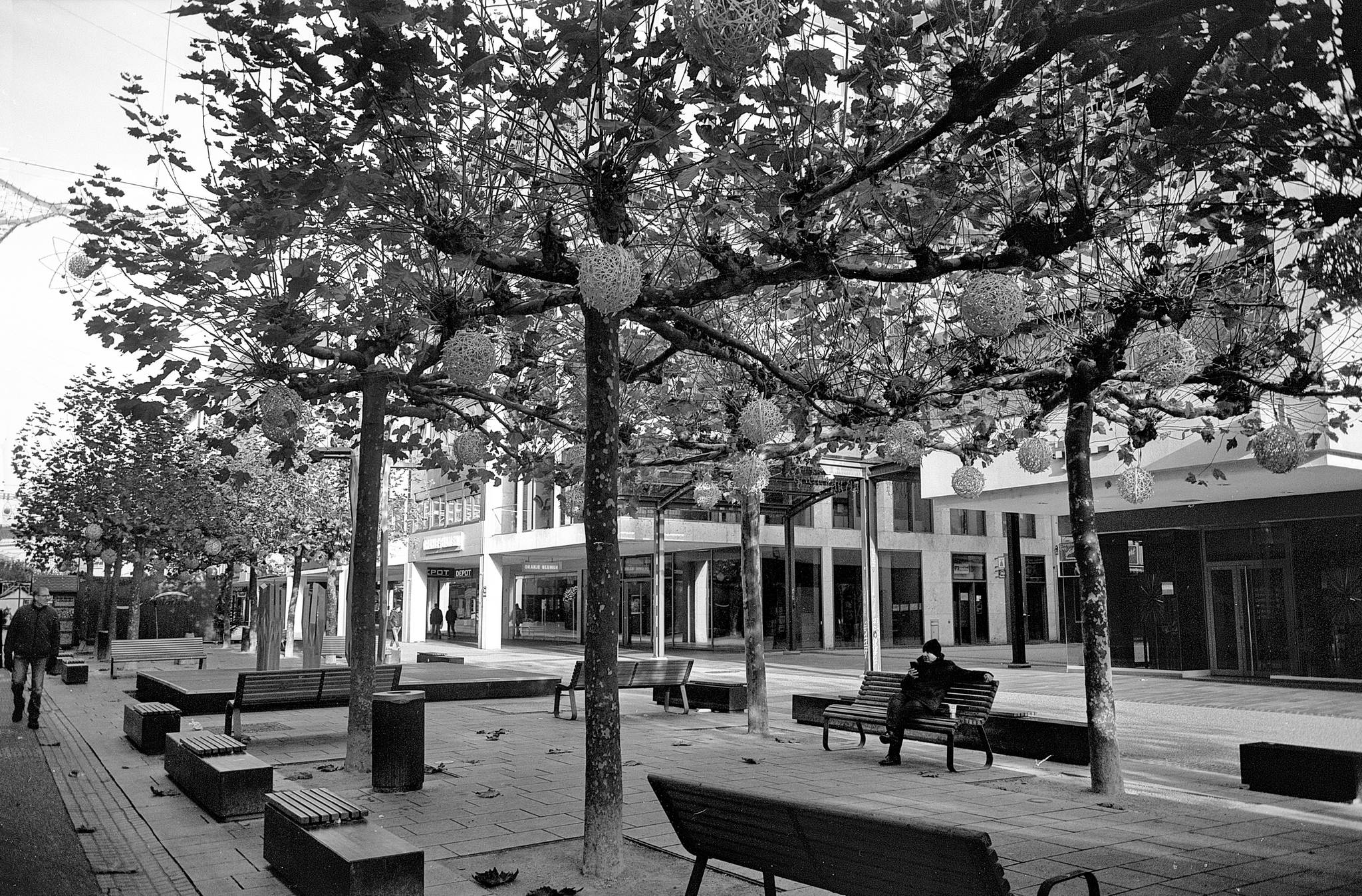 2024 11 24 20 54162004513 o