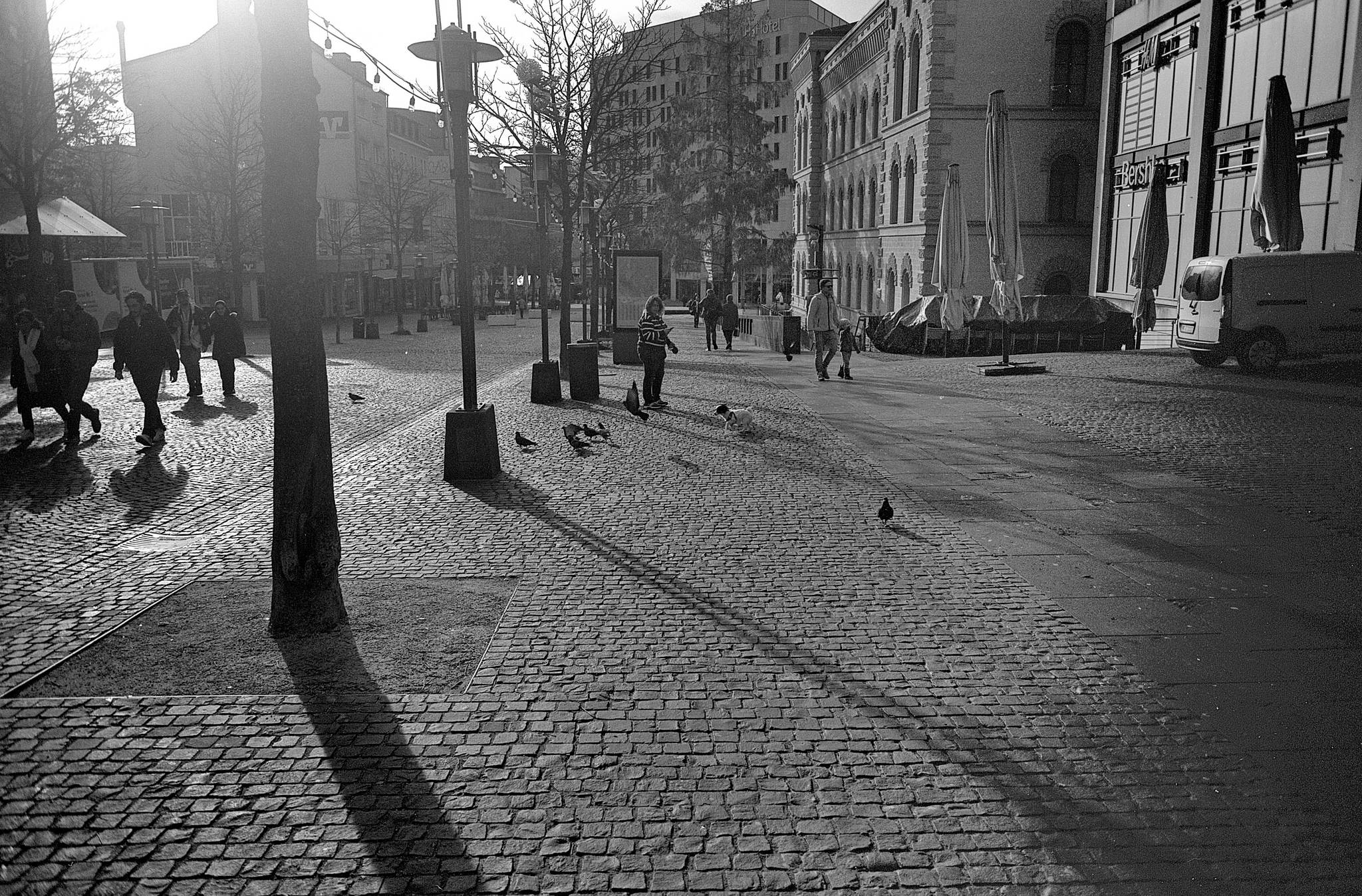 2024 11 24 25 54162187135 o