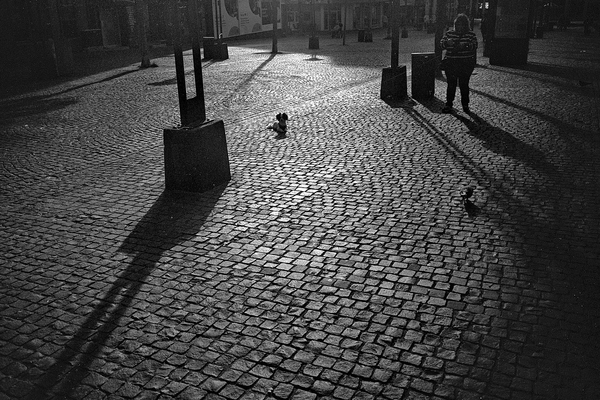 2024 11 24 26 54162005333 o