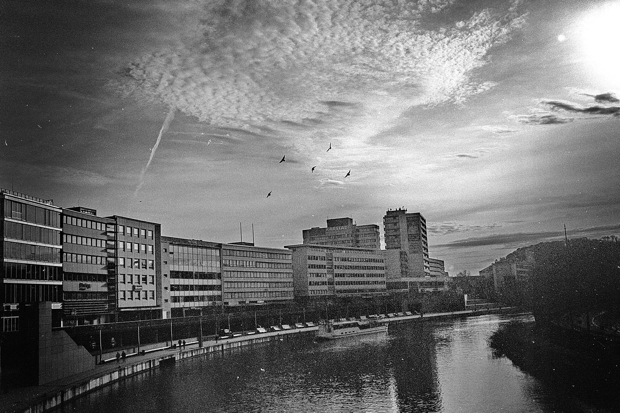 2024 11 24 29 54160858687 o