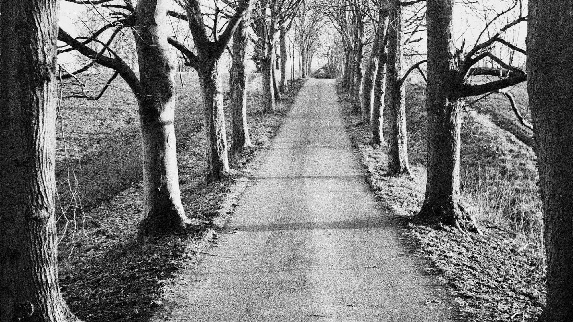 2018 01 14 CanonIV 54,huge.1529700504