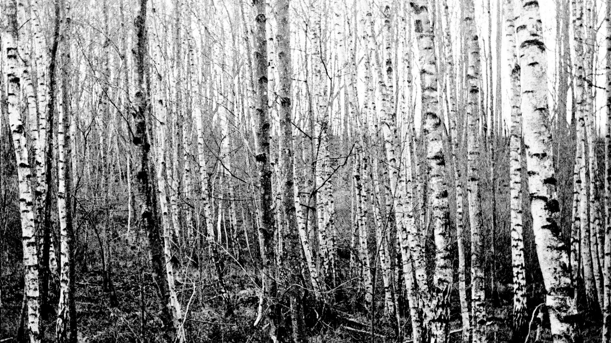 2018 01 14 CanonIV 57,huge.1529700504