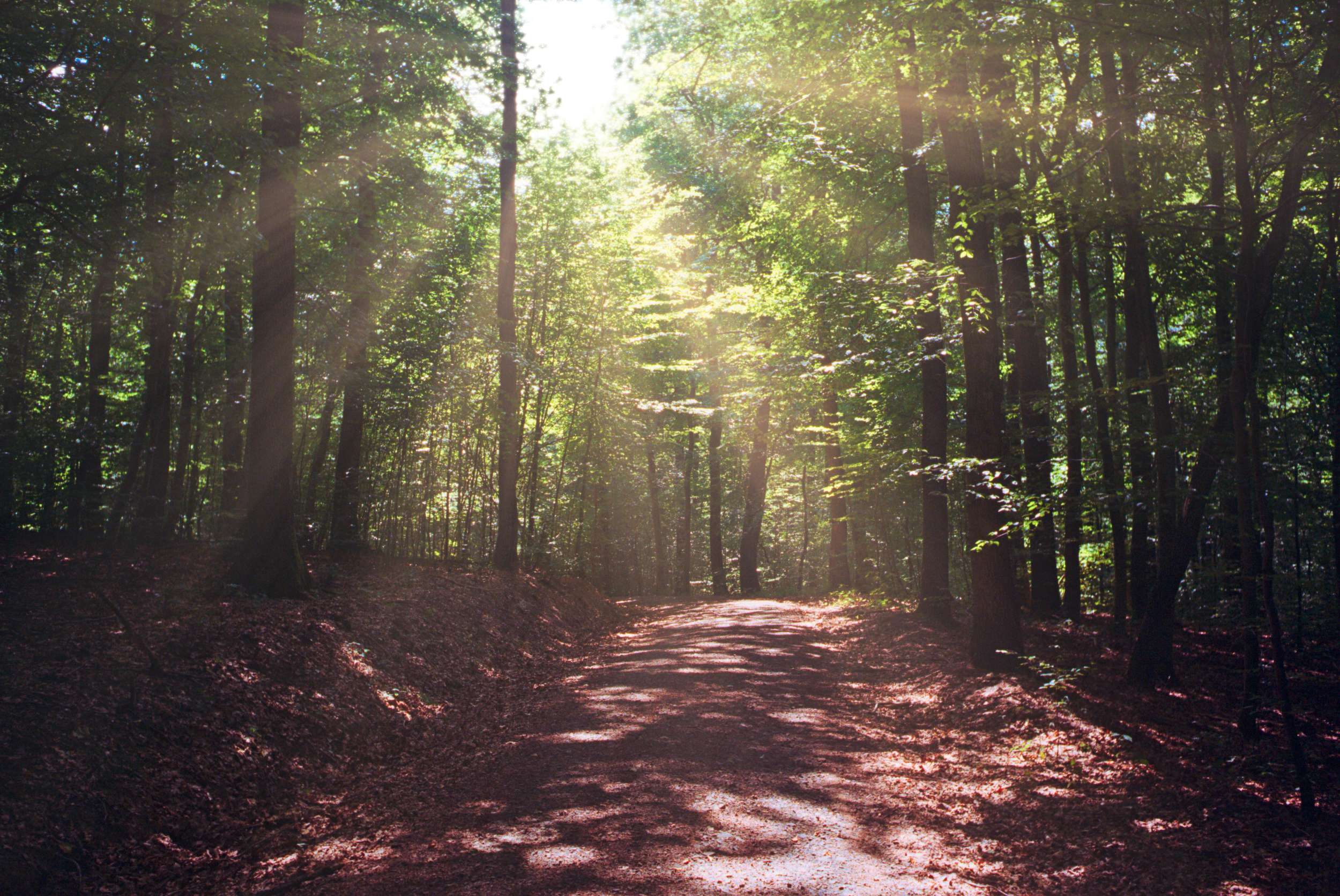 2018 08 05 cle summaron 01 43834340332 o