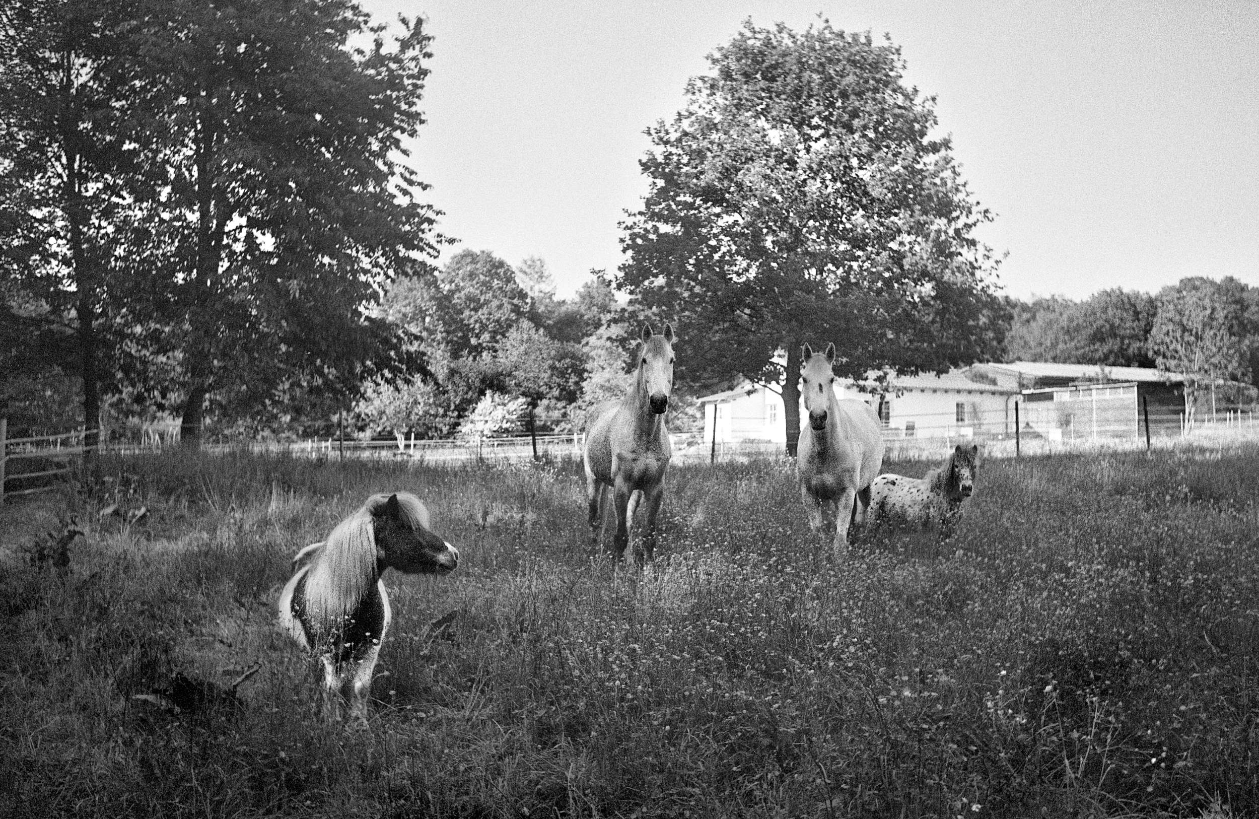 Hexar summaron 07052018  23a 41944147202 o