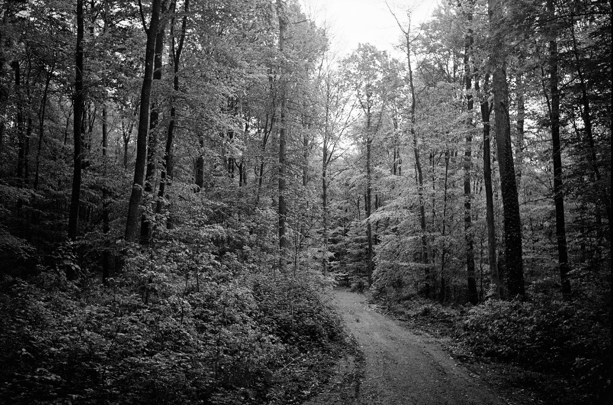 Hexar summaron 29042018 03b 41790121372 o