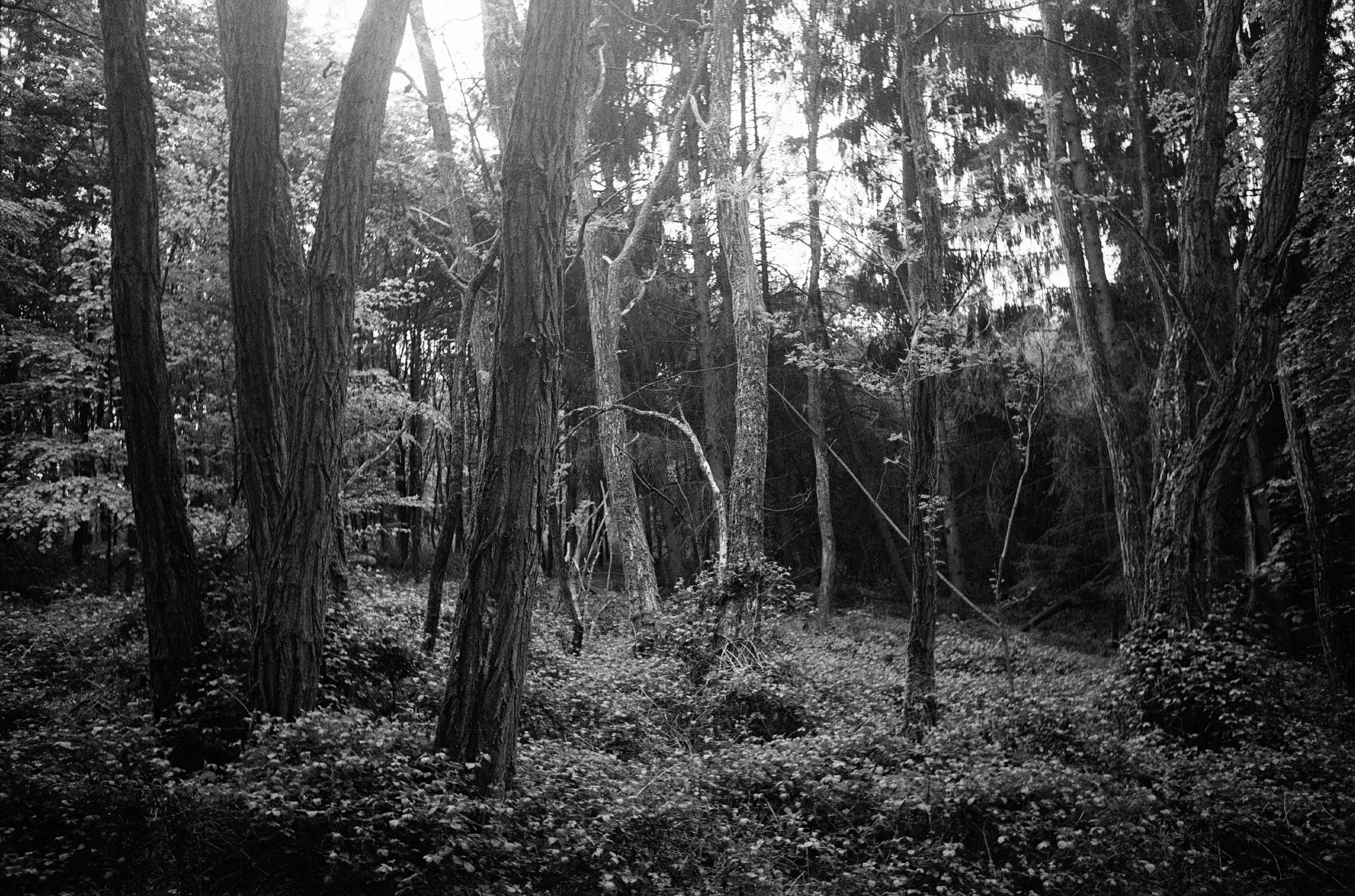 Hexar summaron 29042018 05 41067568594 o