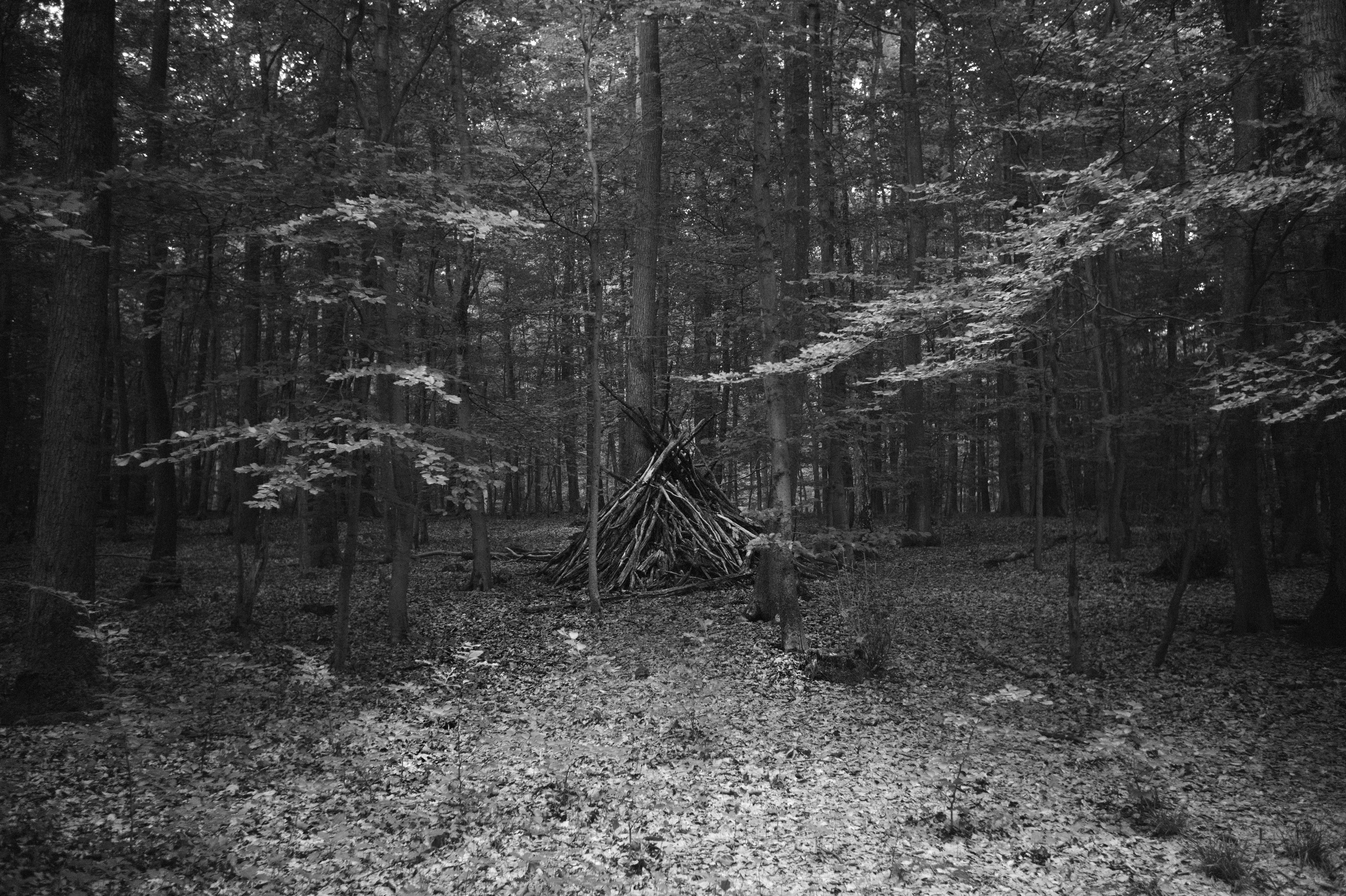 Leica mm summaron 2 50053886932 o