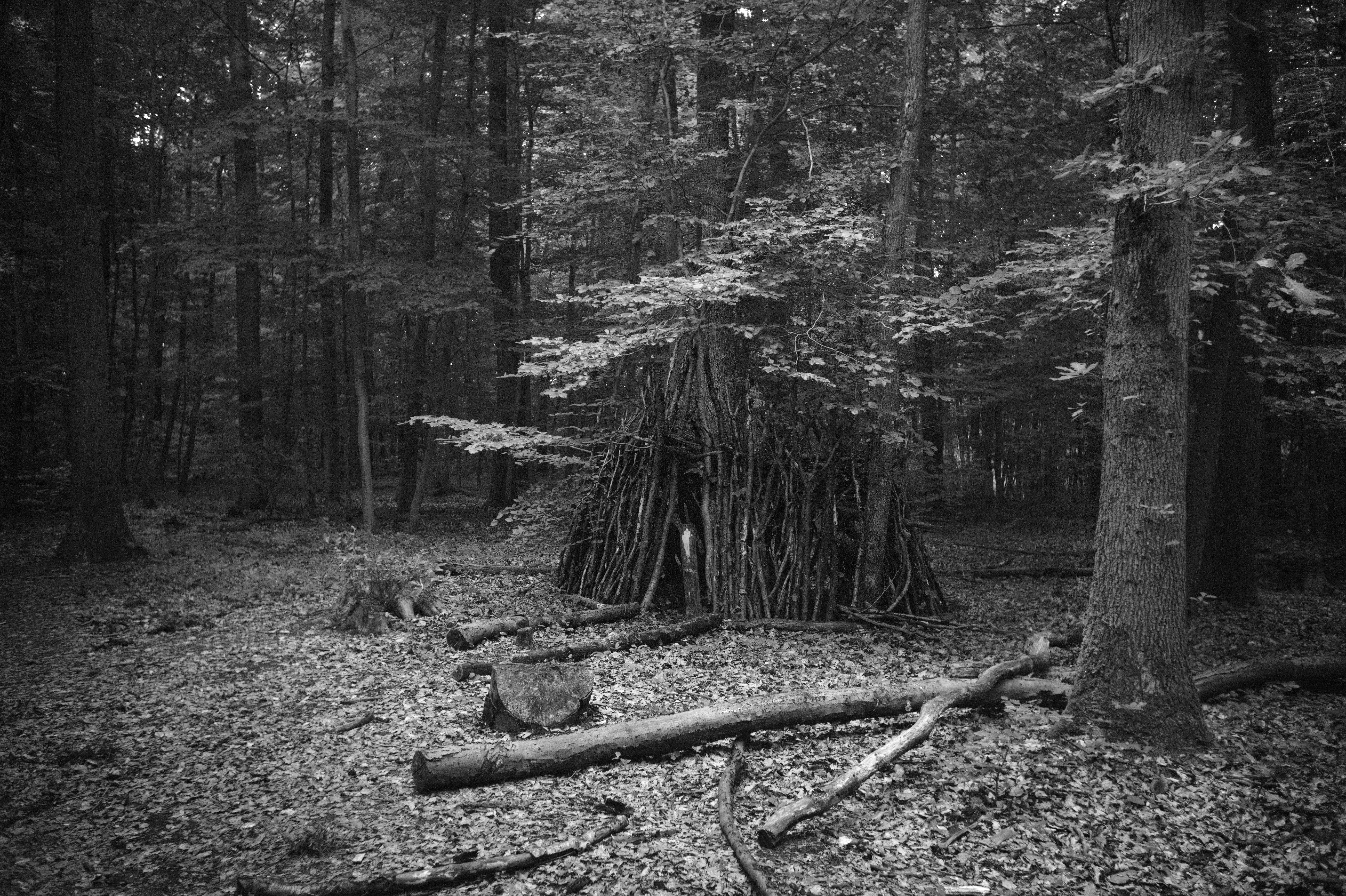 Leica mm summaron 3 50053639641 o