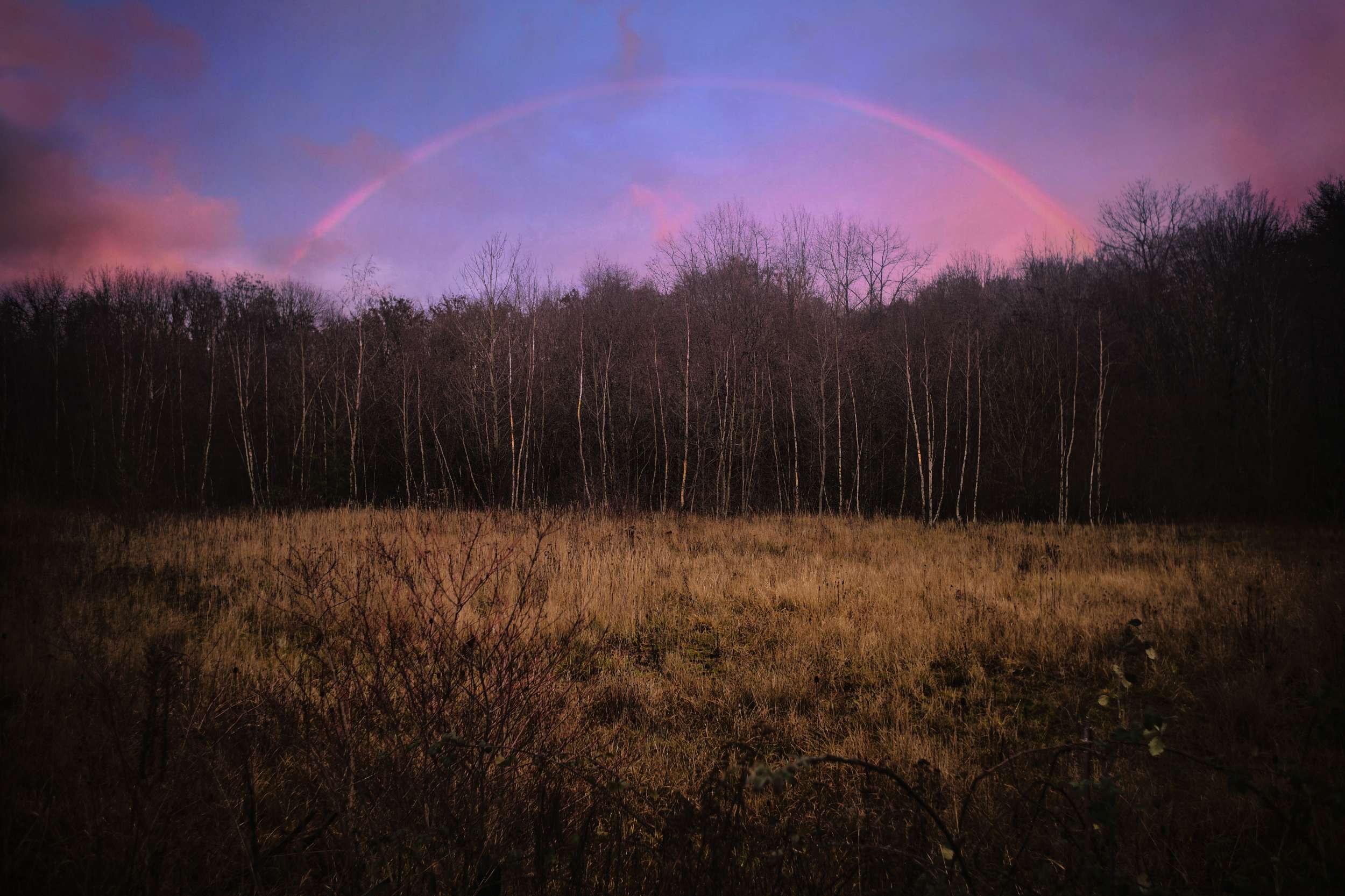 Wechselhaft 50779313588 o