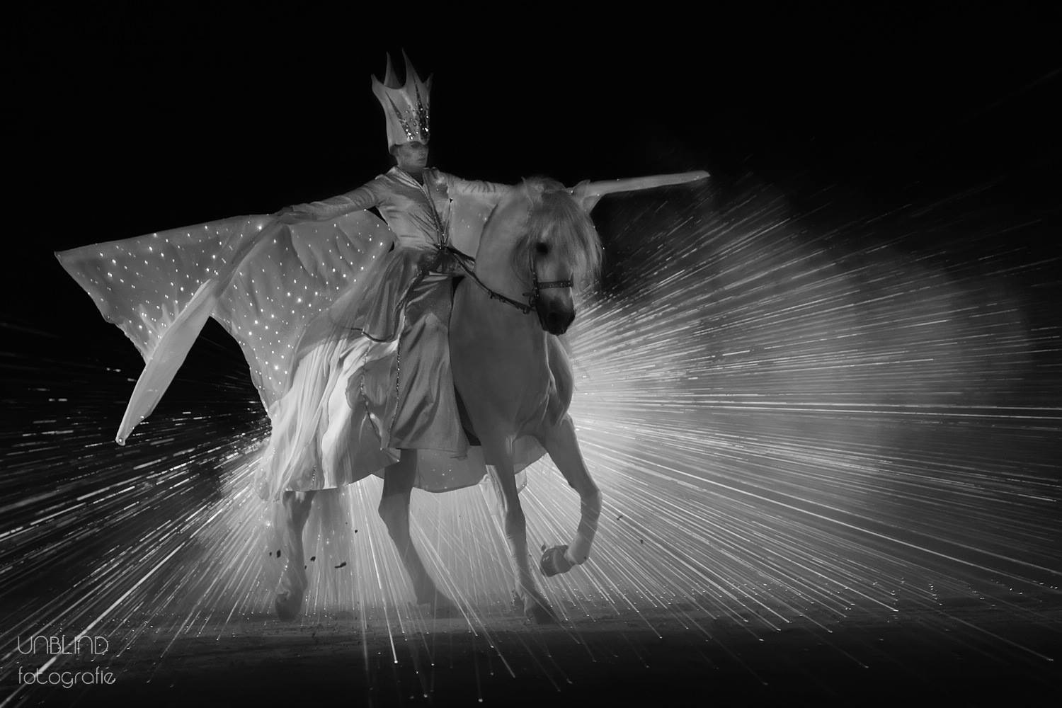 14691339 1299789956722131 1645132946203061663 o