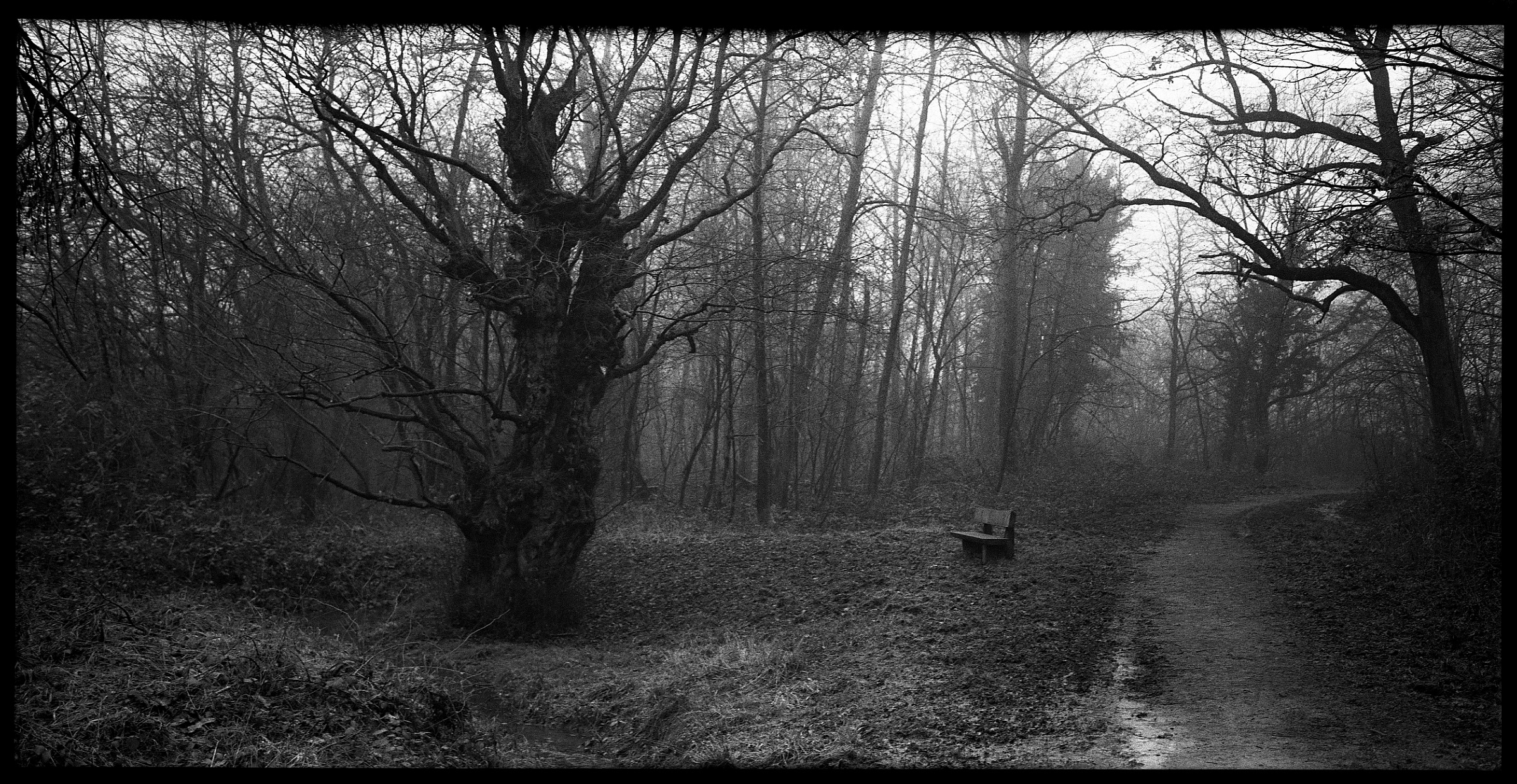 2018 01 27 belair 03a 39933968631 o