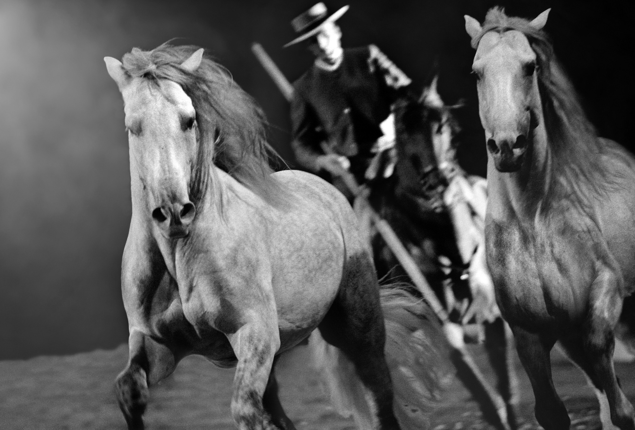 355331837 580119047611674 5738051684398637306 n