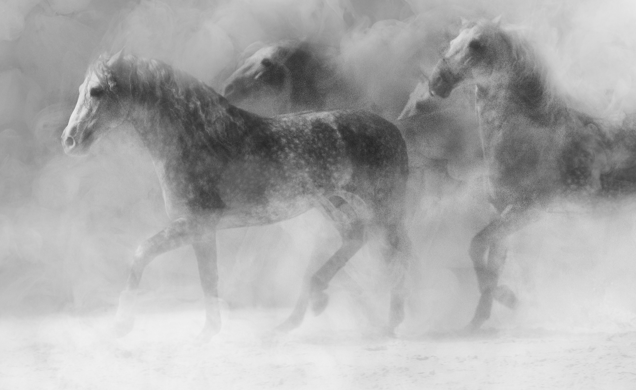 355480925 580452370911675 1303310939388589881 n