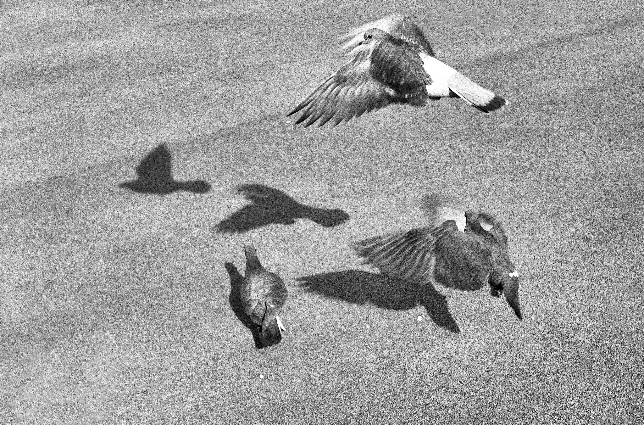 357389126 585862303704015 5981275045042163234 n