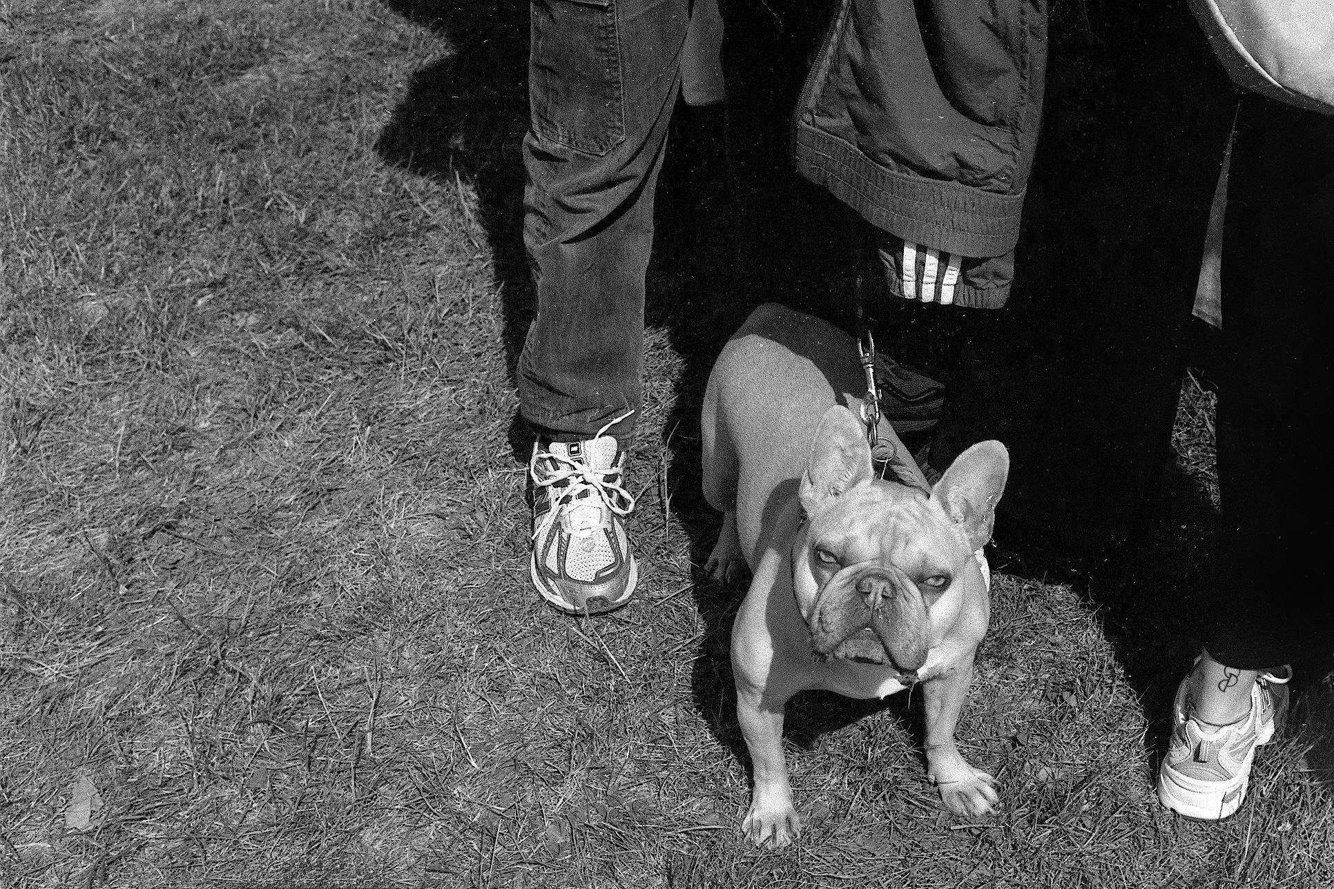 499473379 1022059900084251 767246400454762914 n