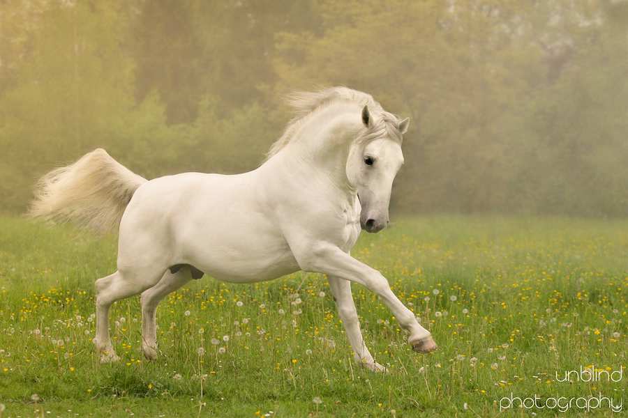 Dia 11 web ID0W2095c 2