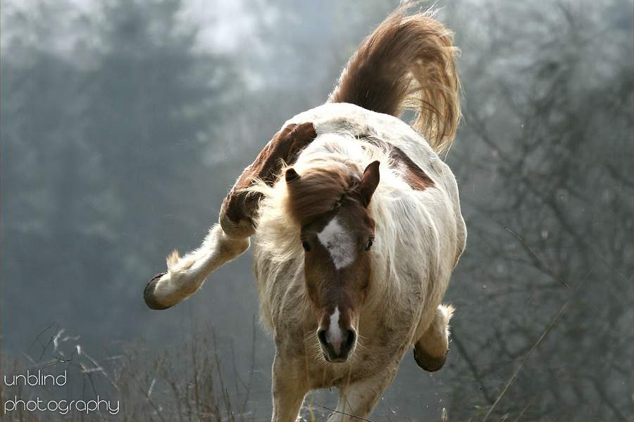 Dia 12 web ID0W1158b