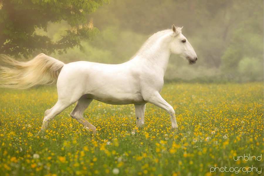 Dia 18 web ID0W2111c 2