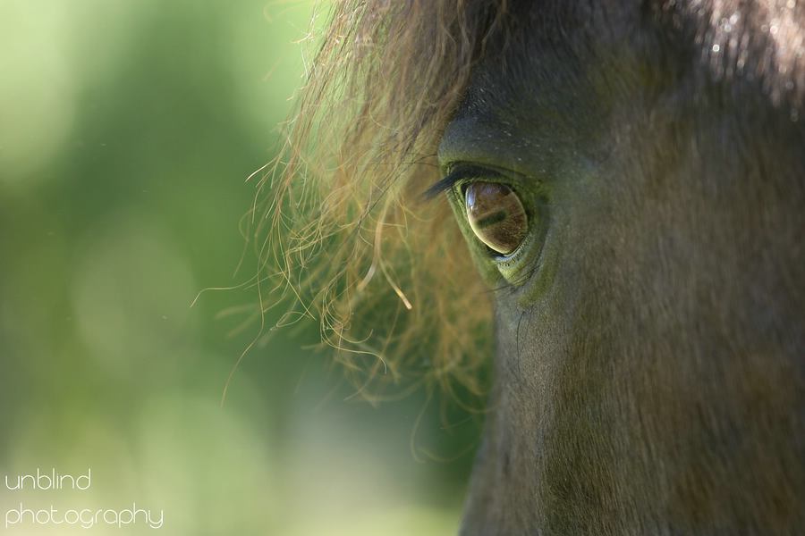 Dia 20 web UNB 0182a